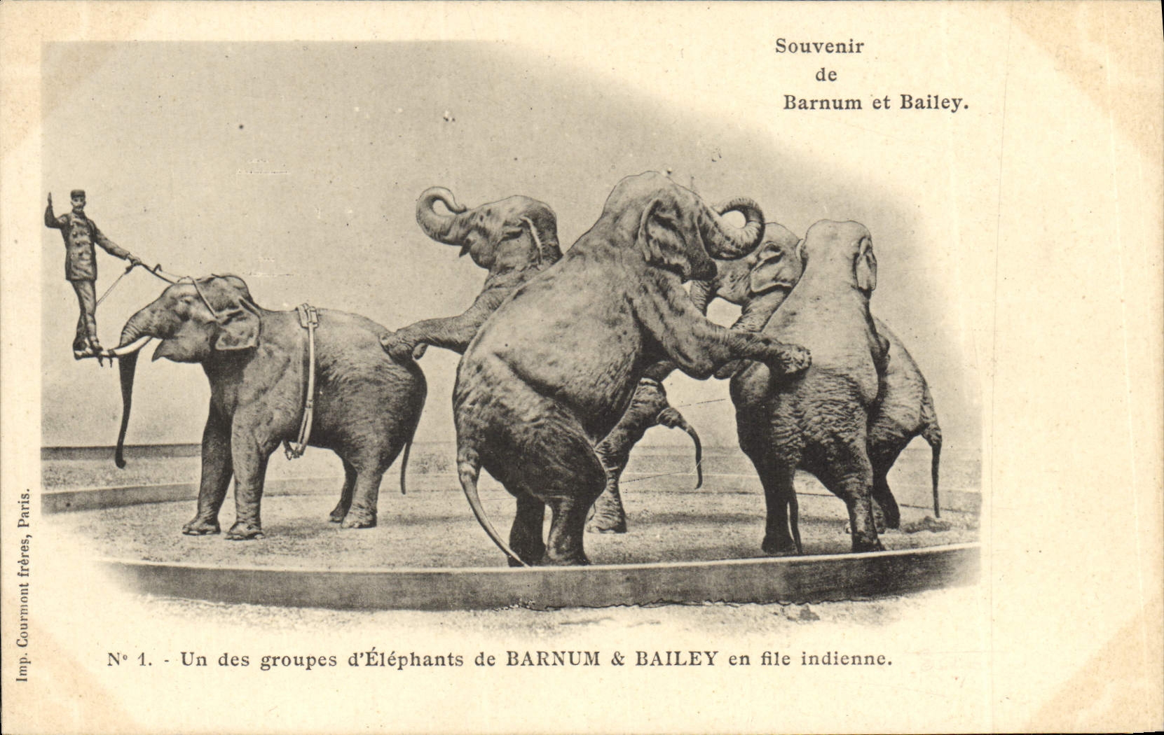 CPA Cirque Barnum et Bailey Un groupe d'elephants en file indienne Elephant