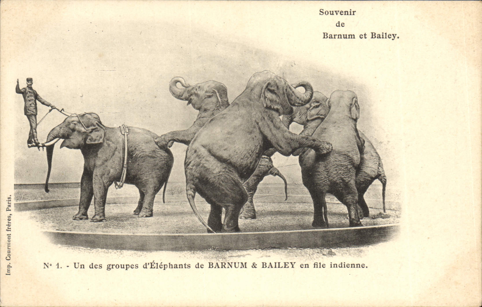 CPA Cirque Barnum et Bailey Un groupe d'elephants en file indienne Elephant