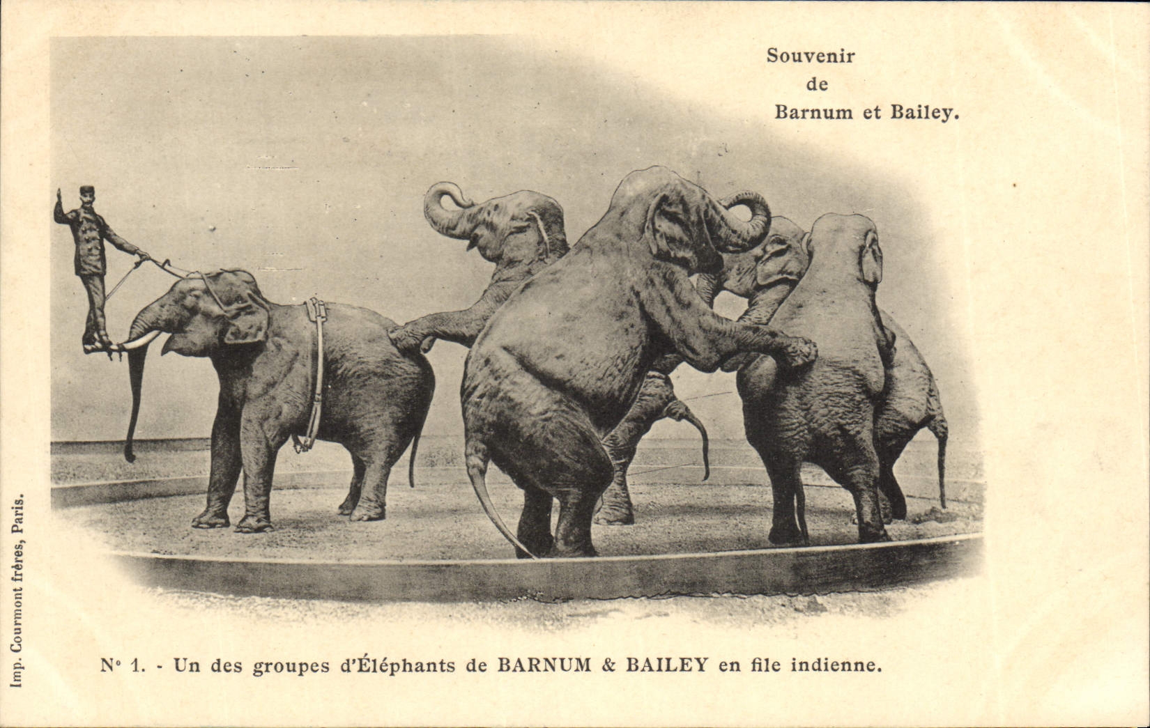 CPA Cirque Barnum et Bailey Un groupe d'elephants en file indienne Elephant