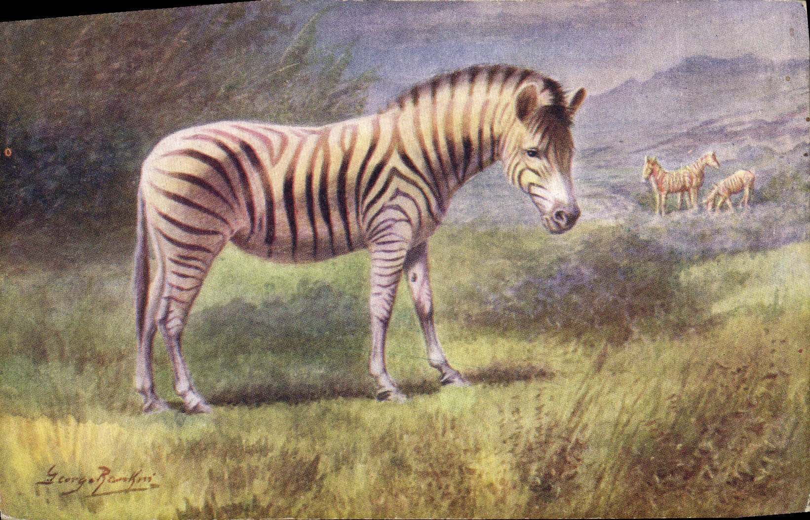 Vintage Postcard Streaks