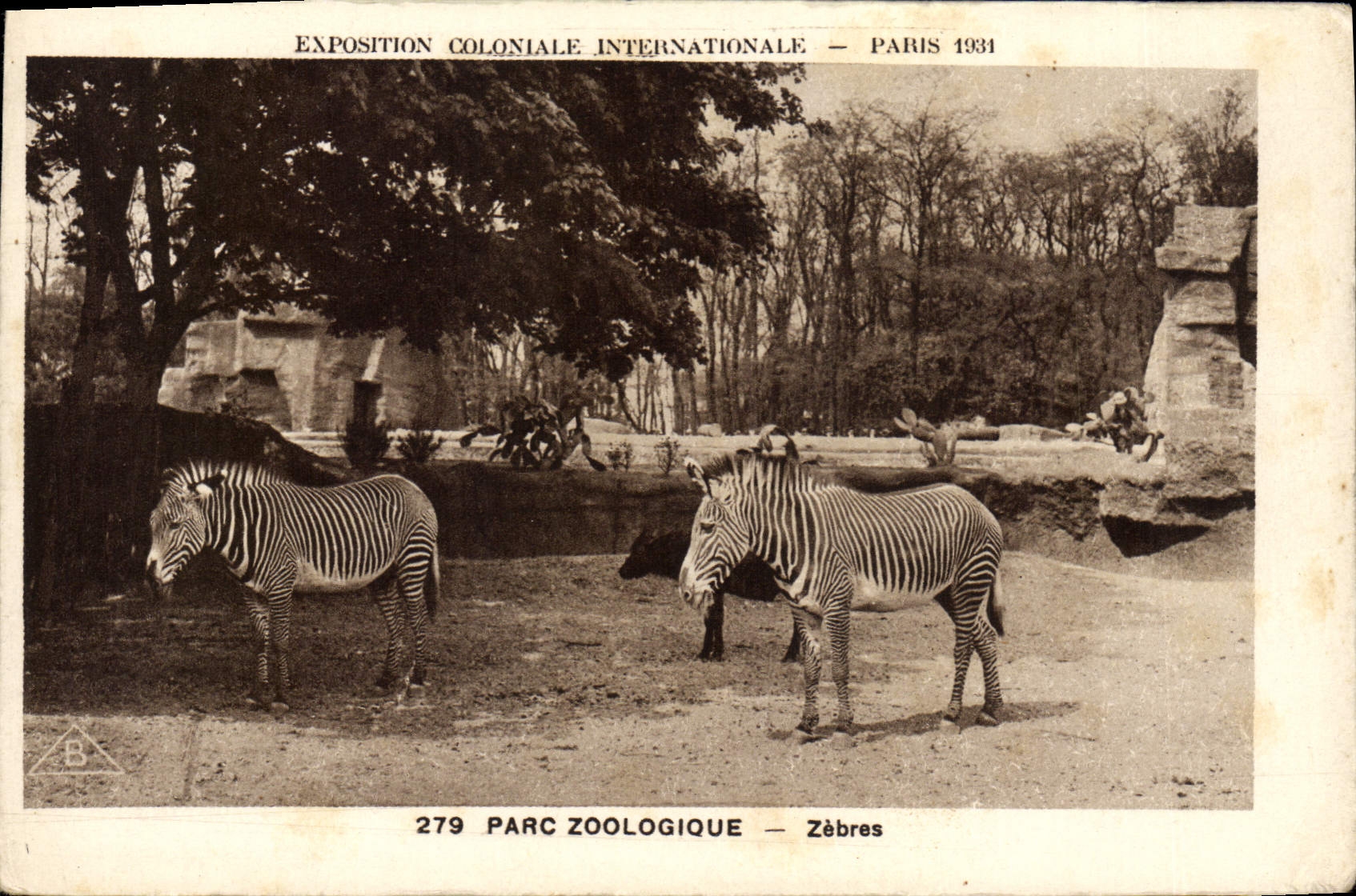 Vintage Postcard Paris international colonial Exposure 1931 Zoological gardens Zebras