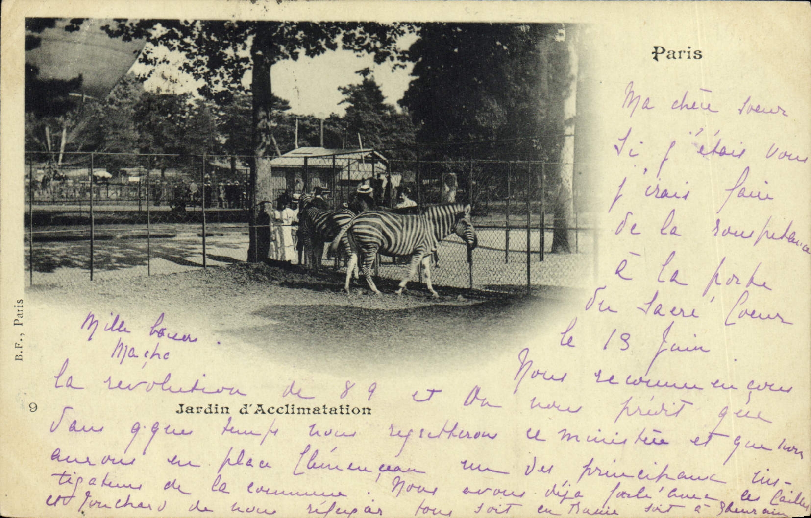 Vintage Postcard Paris Jardin of acclimation Streaks
