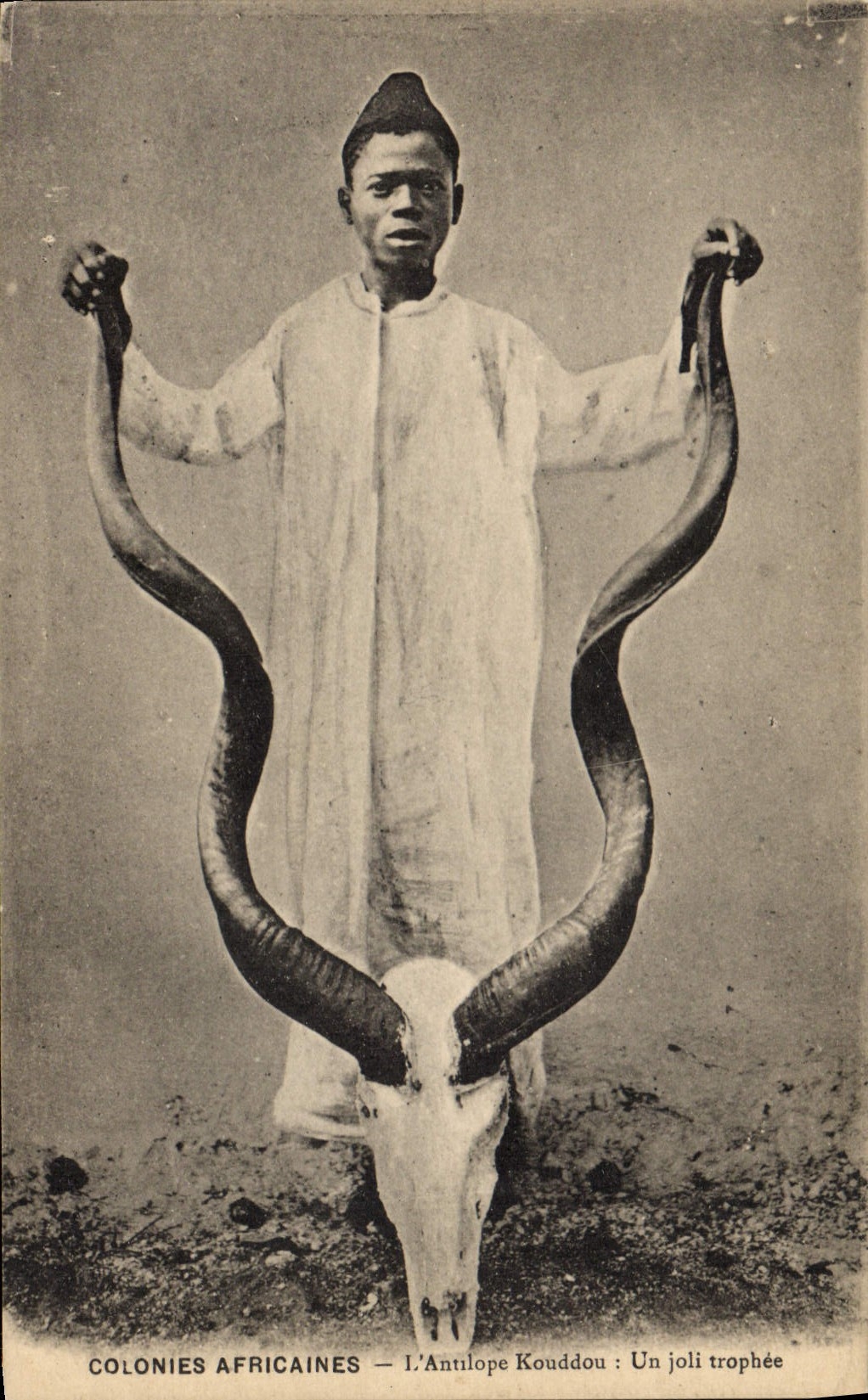CPA Colonies africaines L'antilope Kouddou Un joli trophee 