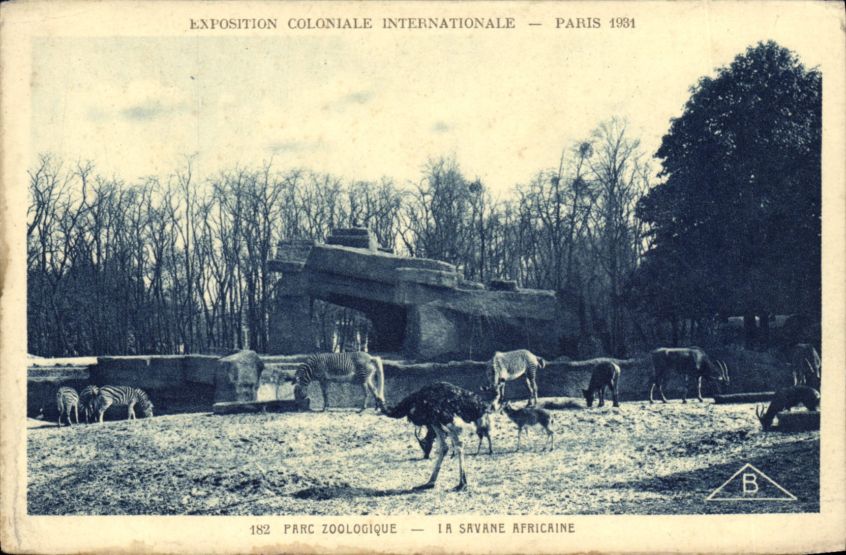 CPA Paris Exposition coloniale internationale 1931 Parc zoologique La savane africaine 