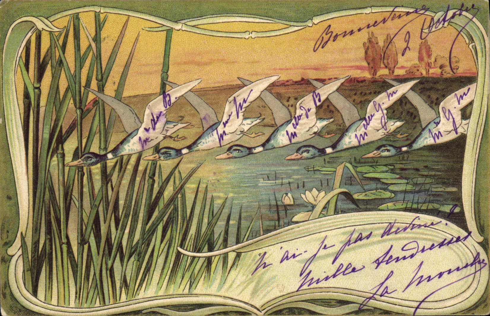 Vintage Postcard Fantasy Illustrator Duck Ducks