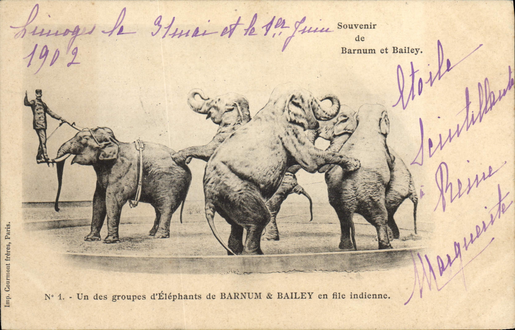 Vintage Postcard Barnum Circus & Bailey one of the groups of elephants in Indian file