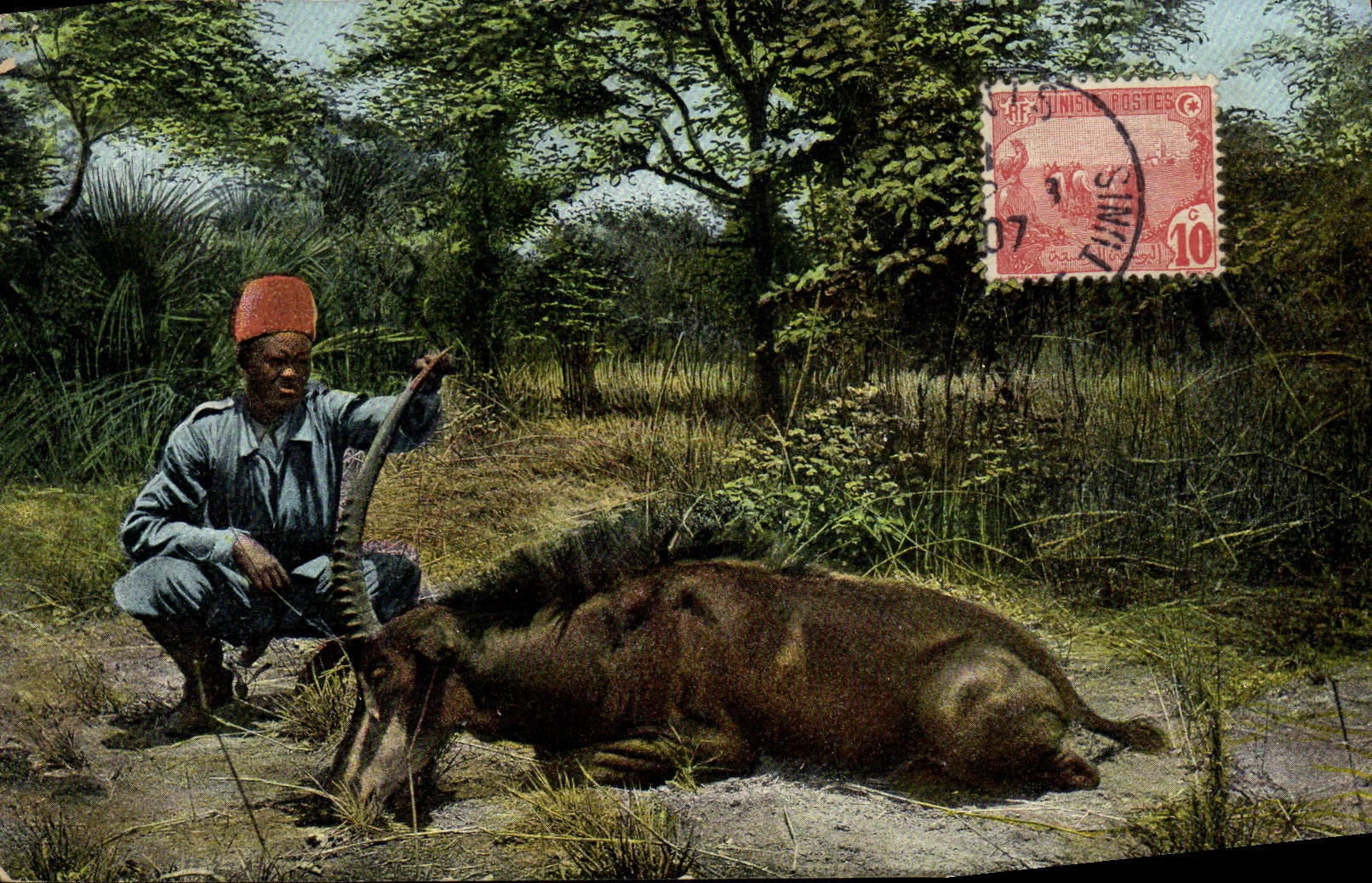 Vintage Postcard Drives out Tunisia