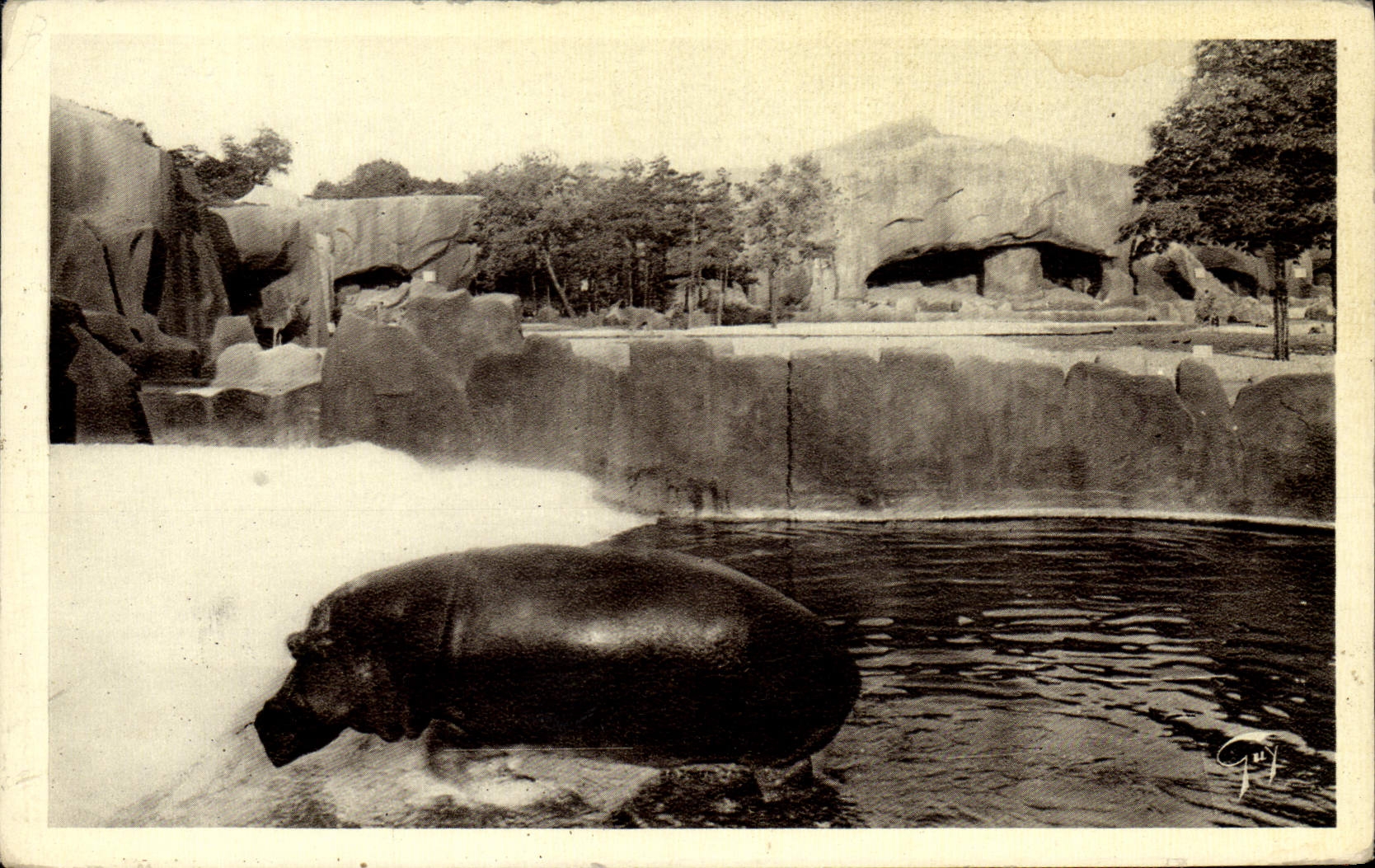 CPA Paris Zoo Vincennes L'Hippopotame sortant du bain