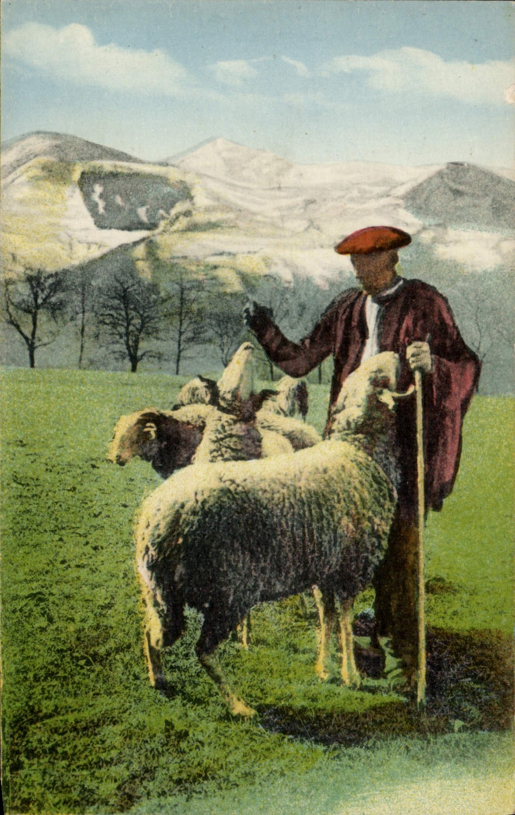 Vintage Postcard the Pyrenees Sheep Shepherd in mountain salt with the sheep
