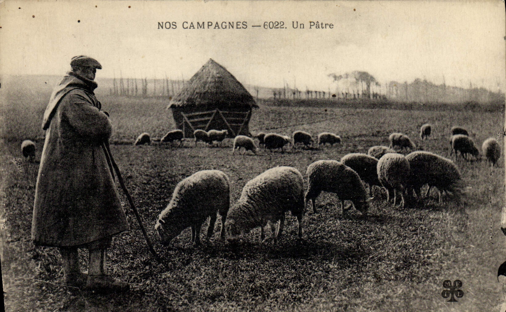 Vintage Postcard Sheep a shepherd