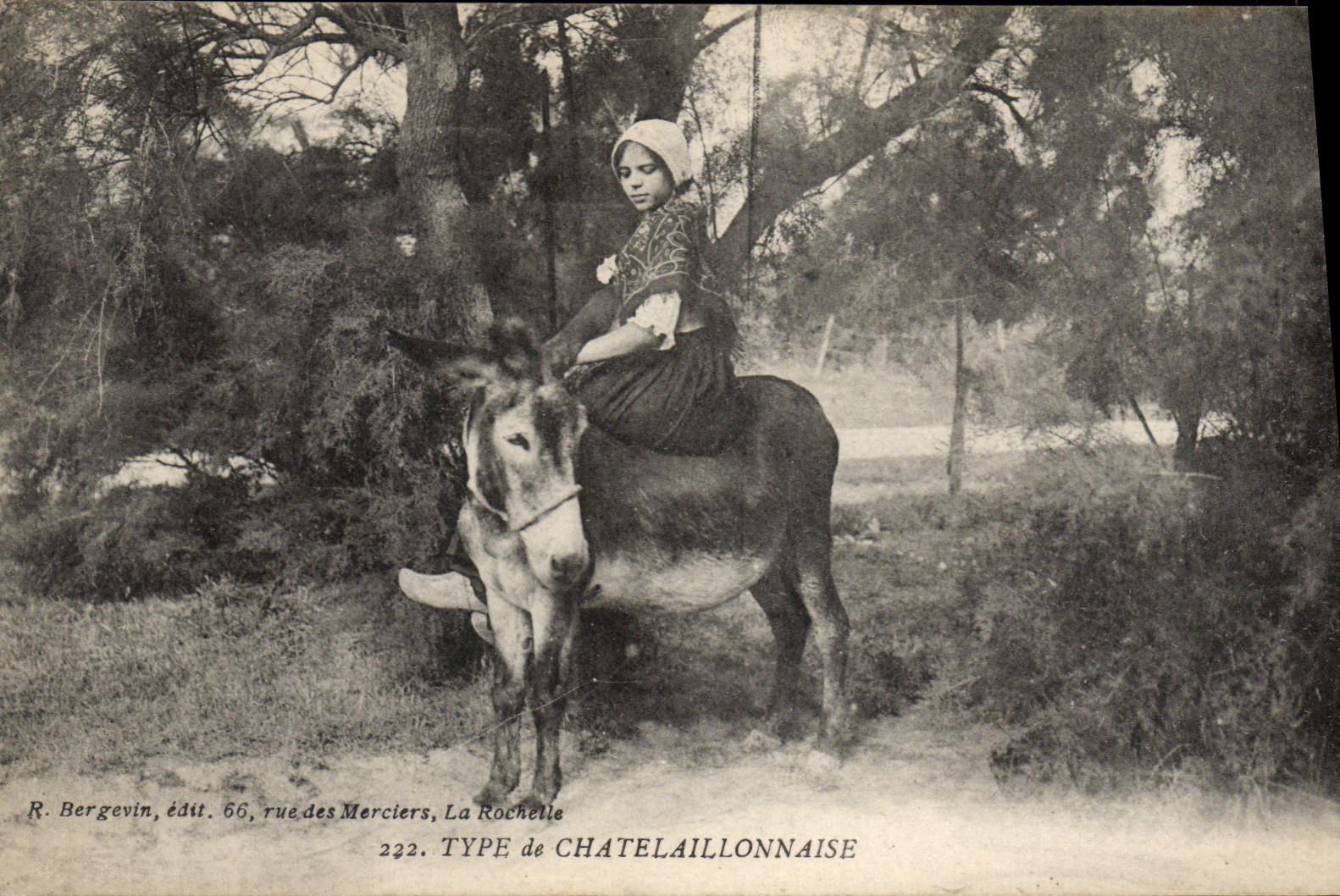 Standard Vintage Postcard Folklore of Chatelaillonnaise Donkey Mule Woman