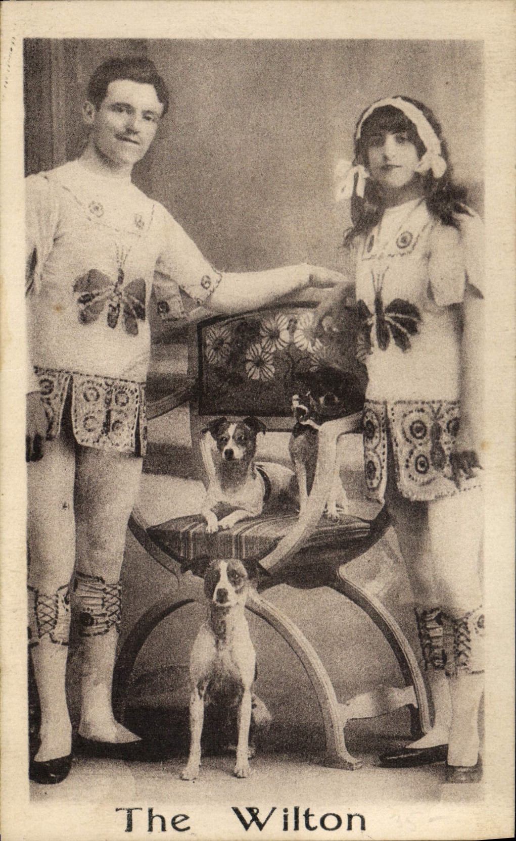 CPA The Wilton Chien Chiens 