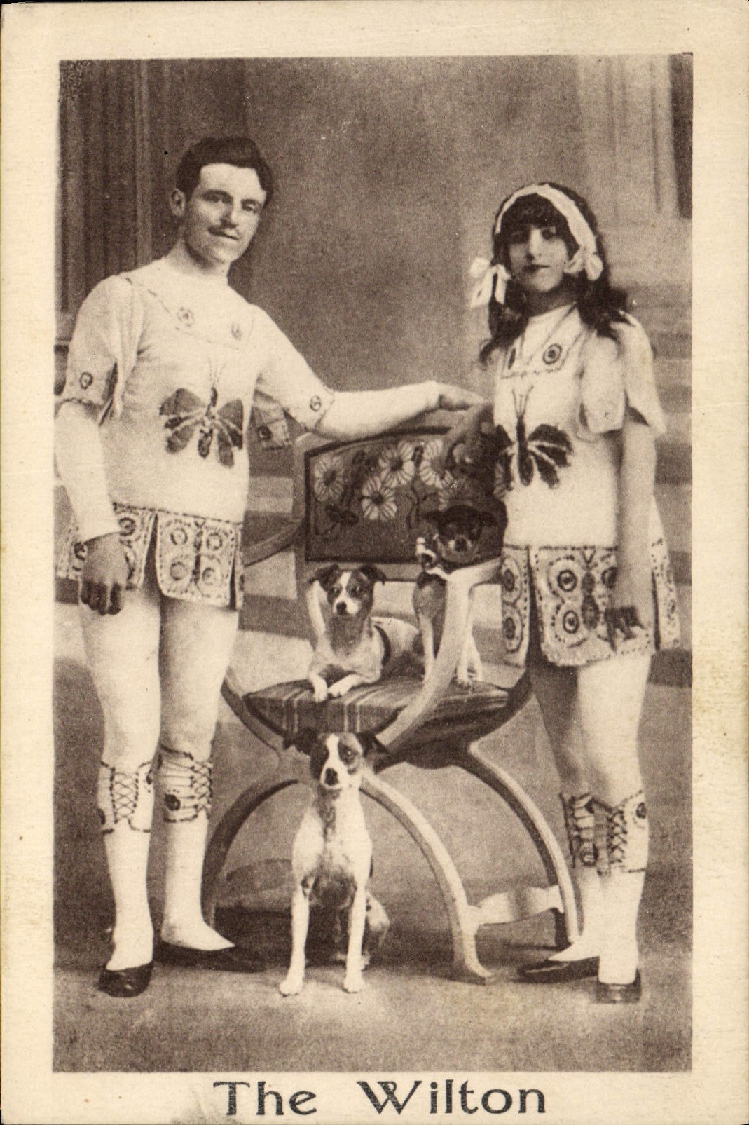 CPA The Wilton Chien Chiens 