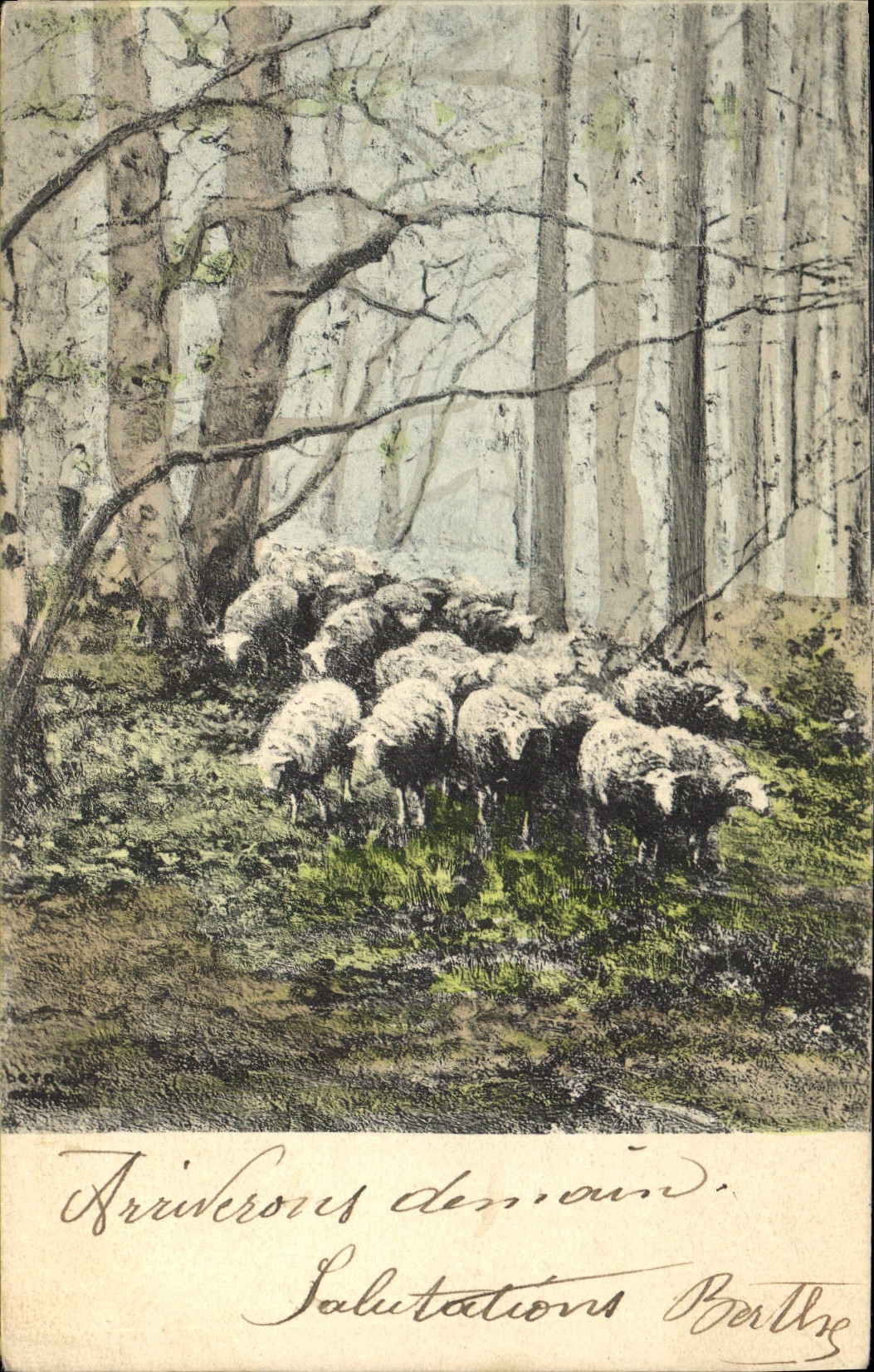 CPA Moutons 