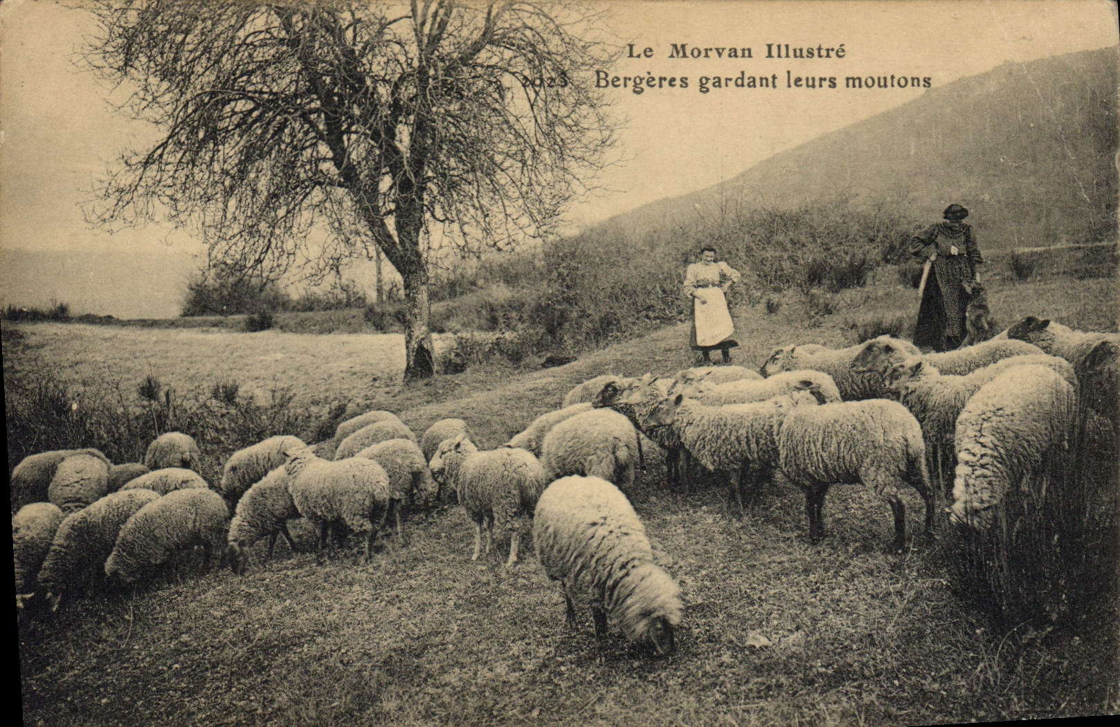 CPA Morvan Bergeres gardant leurs moutons 