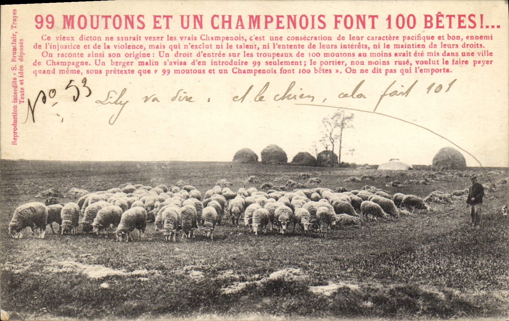 CPA 99 moutons et un Champenois font 100 betes