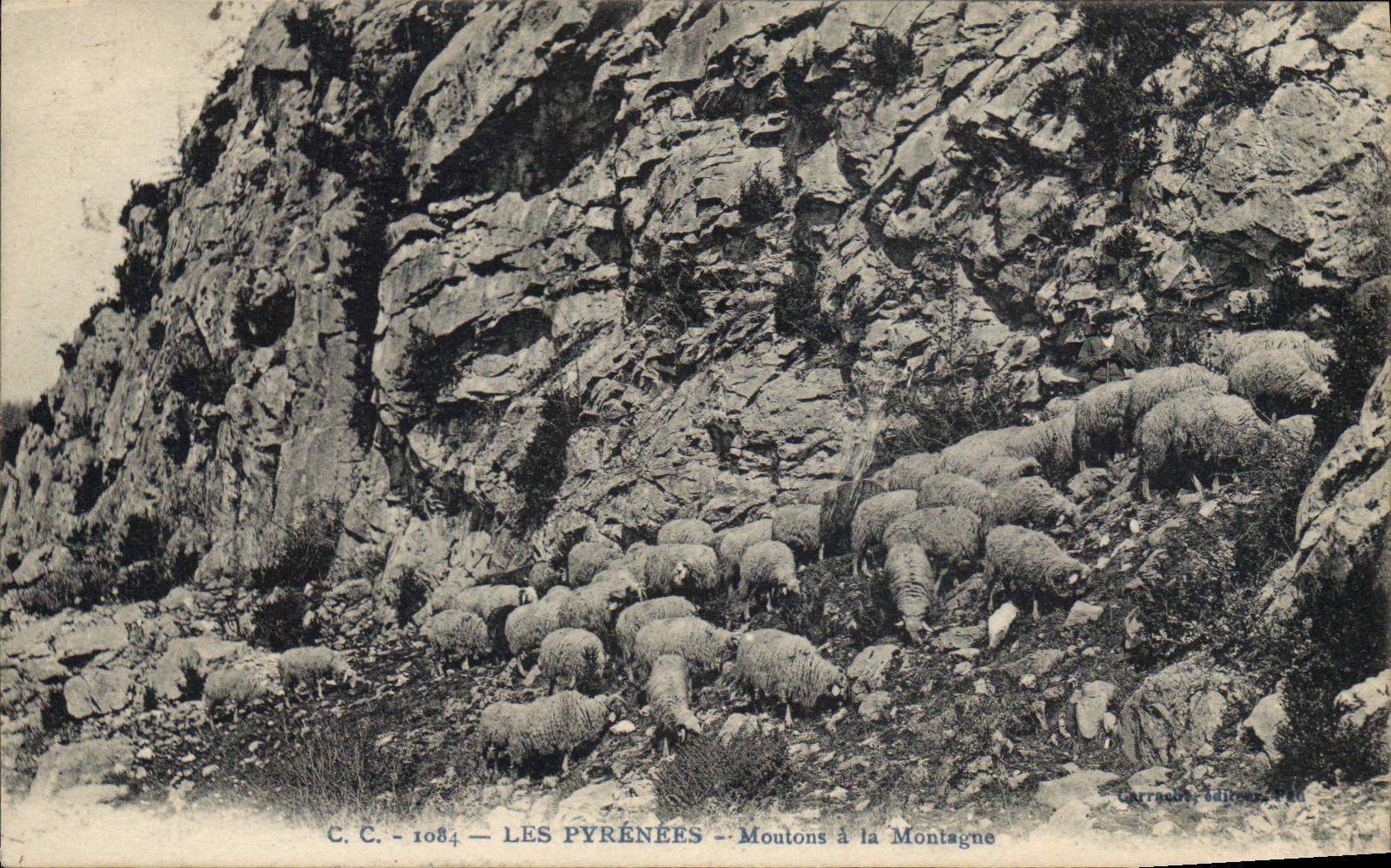CPA Pyrenees Moutons a la montagne 