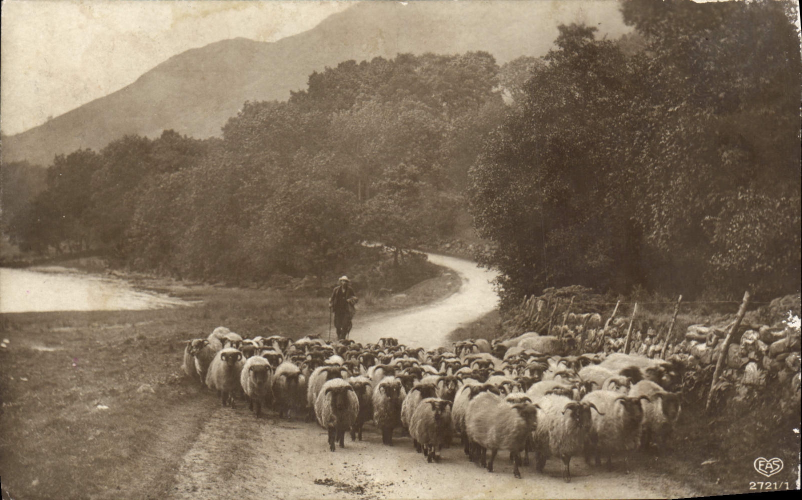 CPA Berger Moutons 