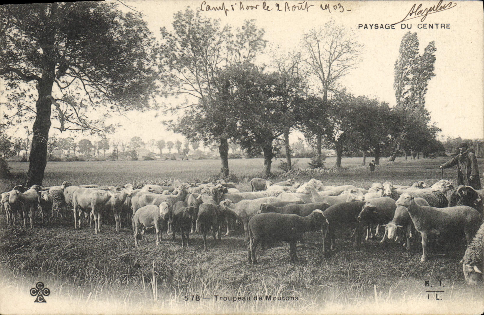 CPA Centre Troupeau de Moutons 