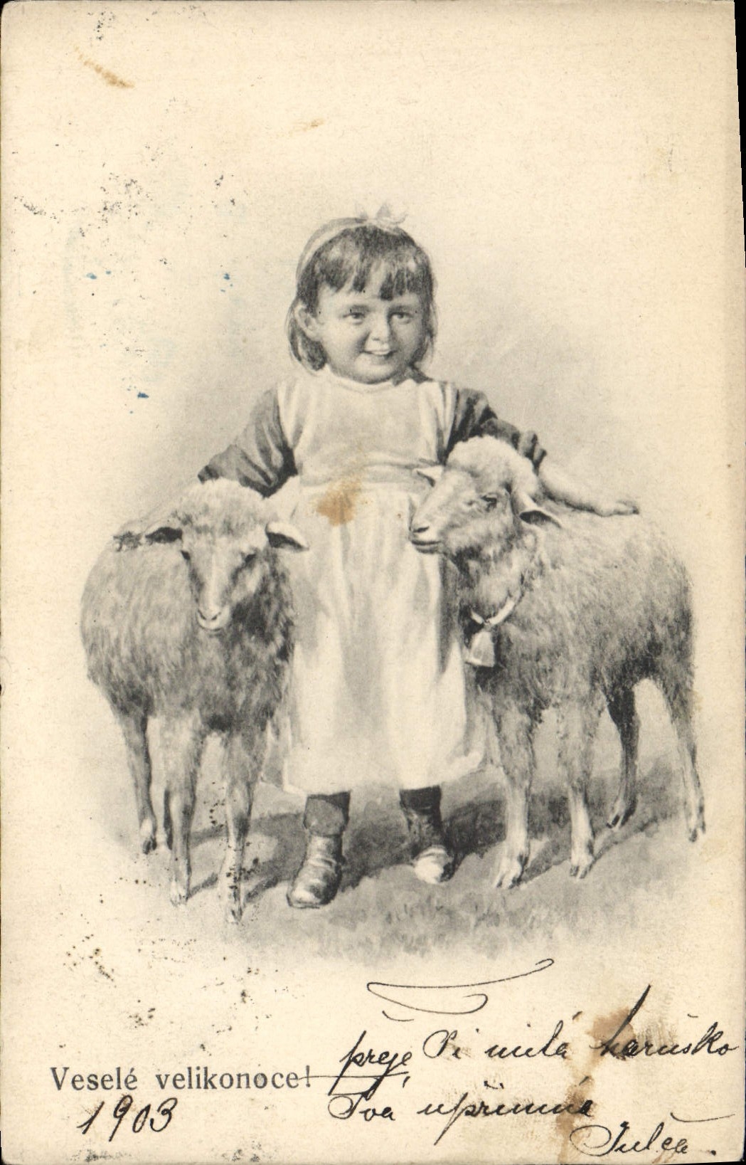 CPA Enfant Moutons 