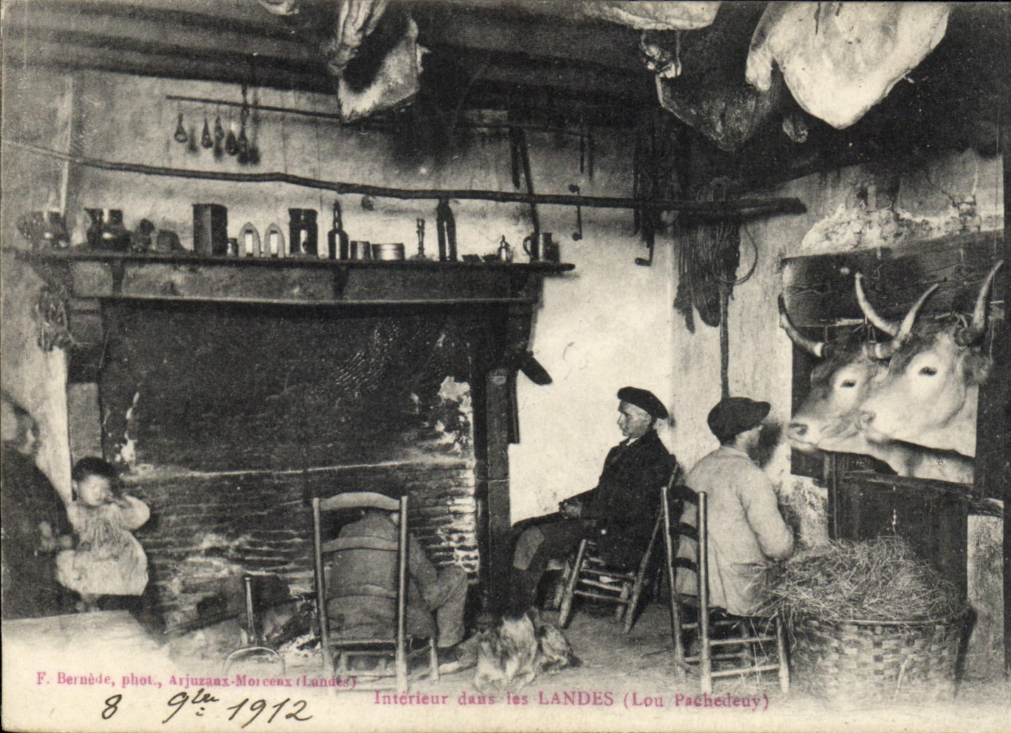 CPA Folklore Interieur dans les Landes Boeufs TOP