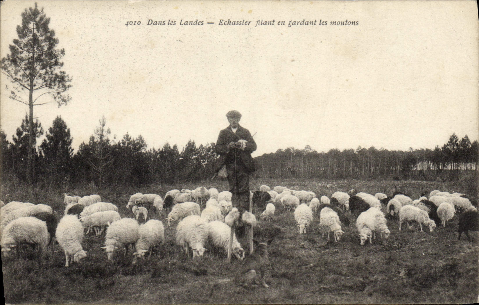 CPA Folklore Dans les Landes Echassier filant en gardant les moutons