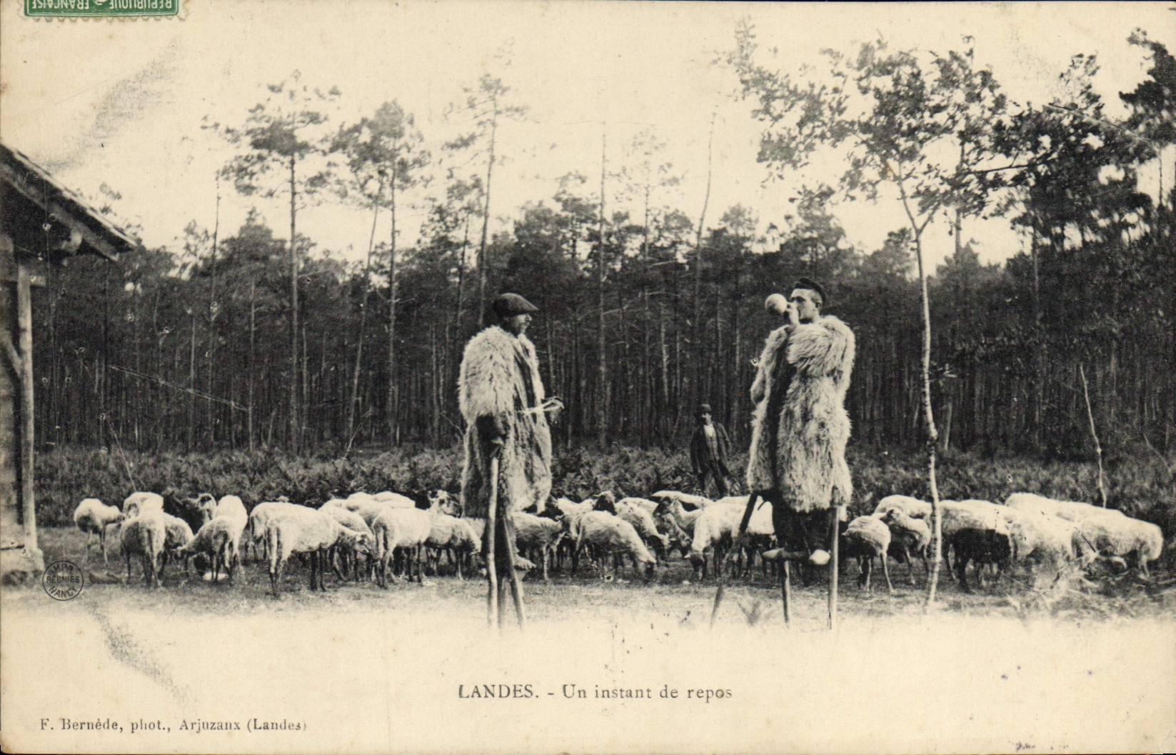 CPA Folklore Landes Un instant de repos Moutons