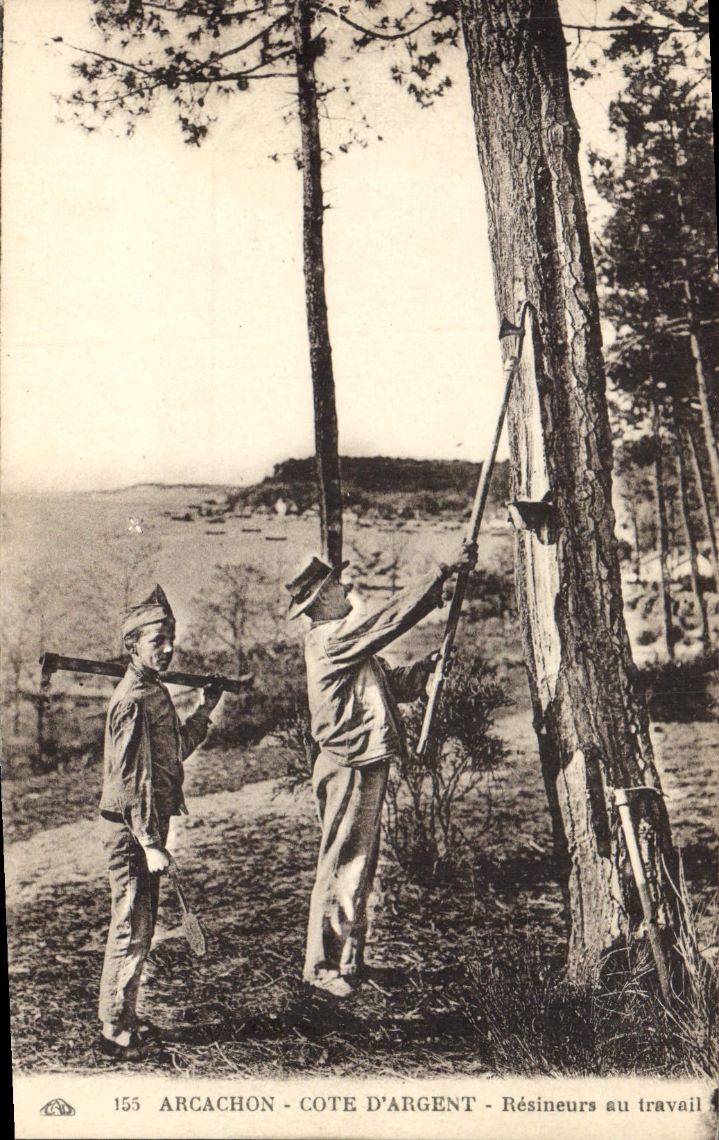 Postal Folclore Arcachon Resineurs en el trabajo
