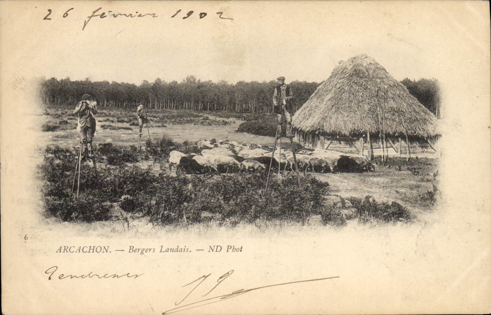 Vintage Postcard Folklore Arcachon Shepherds from the Landes Sheep