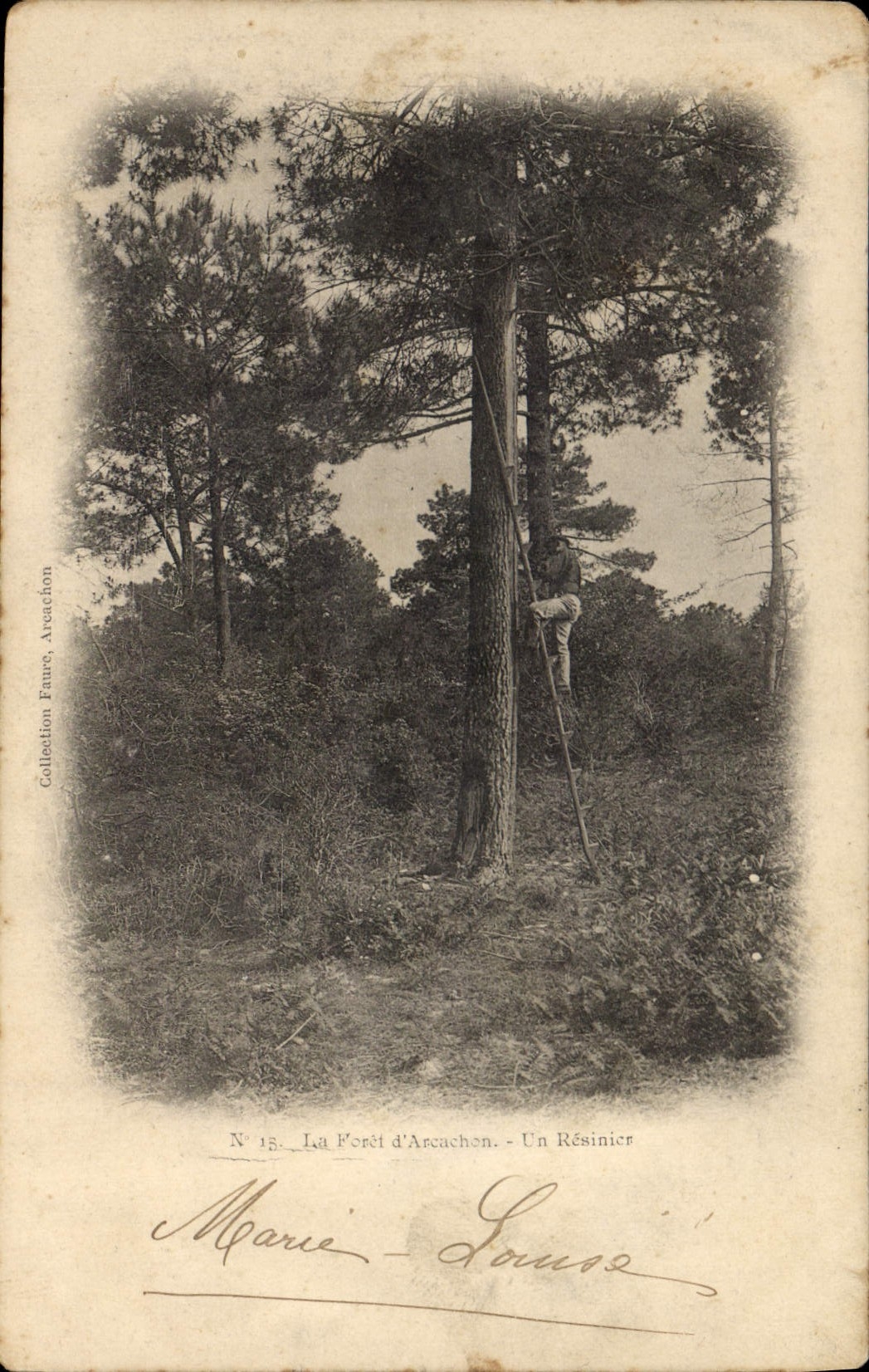 CPA Folklore La foret d'Arcachon Un resinier