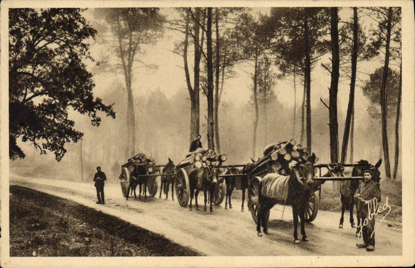 CPA Folklore Effet de brume dans la foret Les Bross Landes 