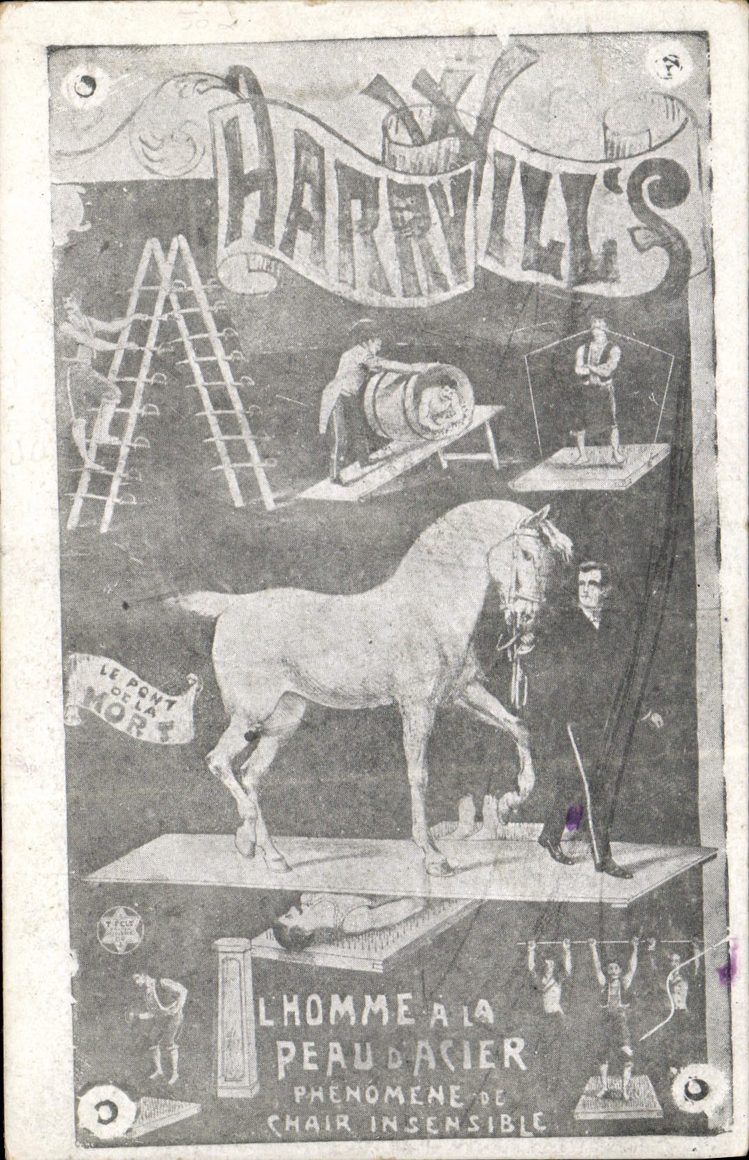 Vintage Postcard Harry ill' S the man has the skin of significant Phenomene steel of flesh