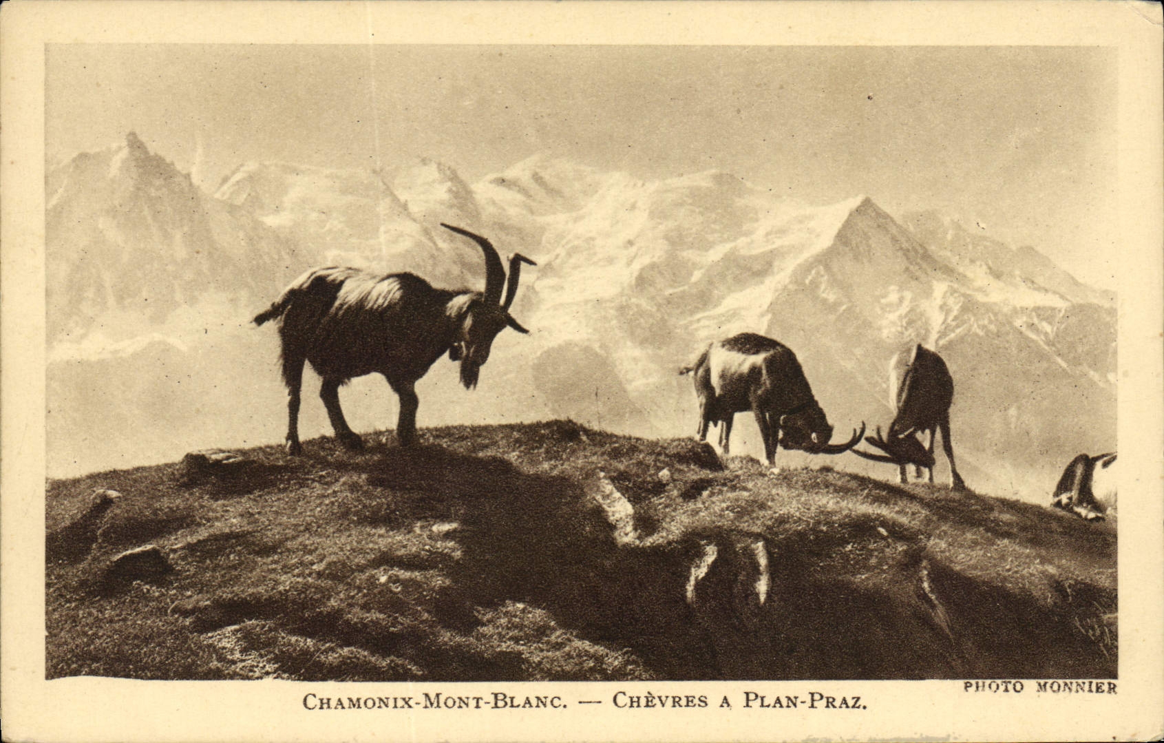 CPA Chamonix Mont blanc Chevres a plan Praz Chevre 