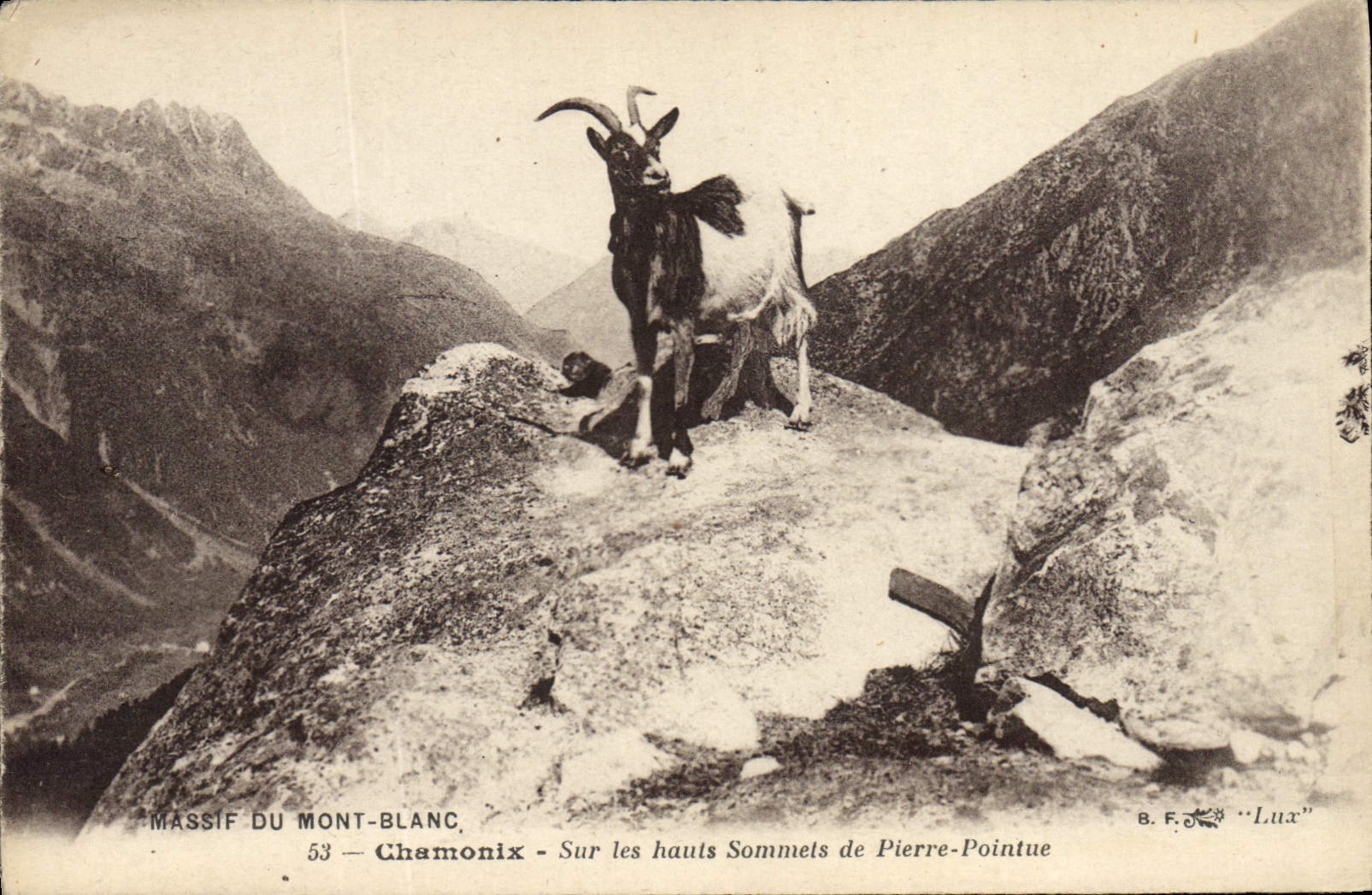 CPA Chamonix Sur les hauts sommets de Pierre Pointue 