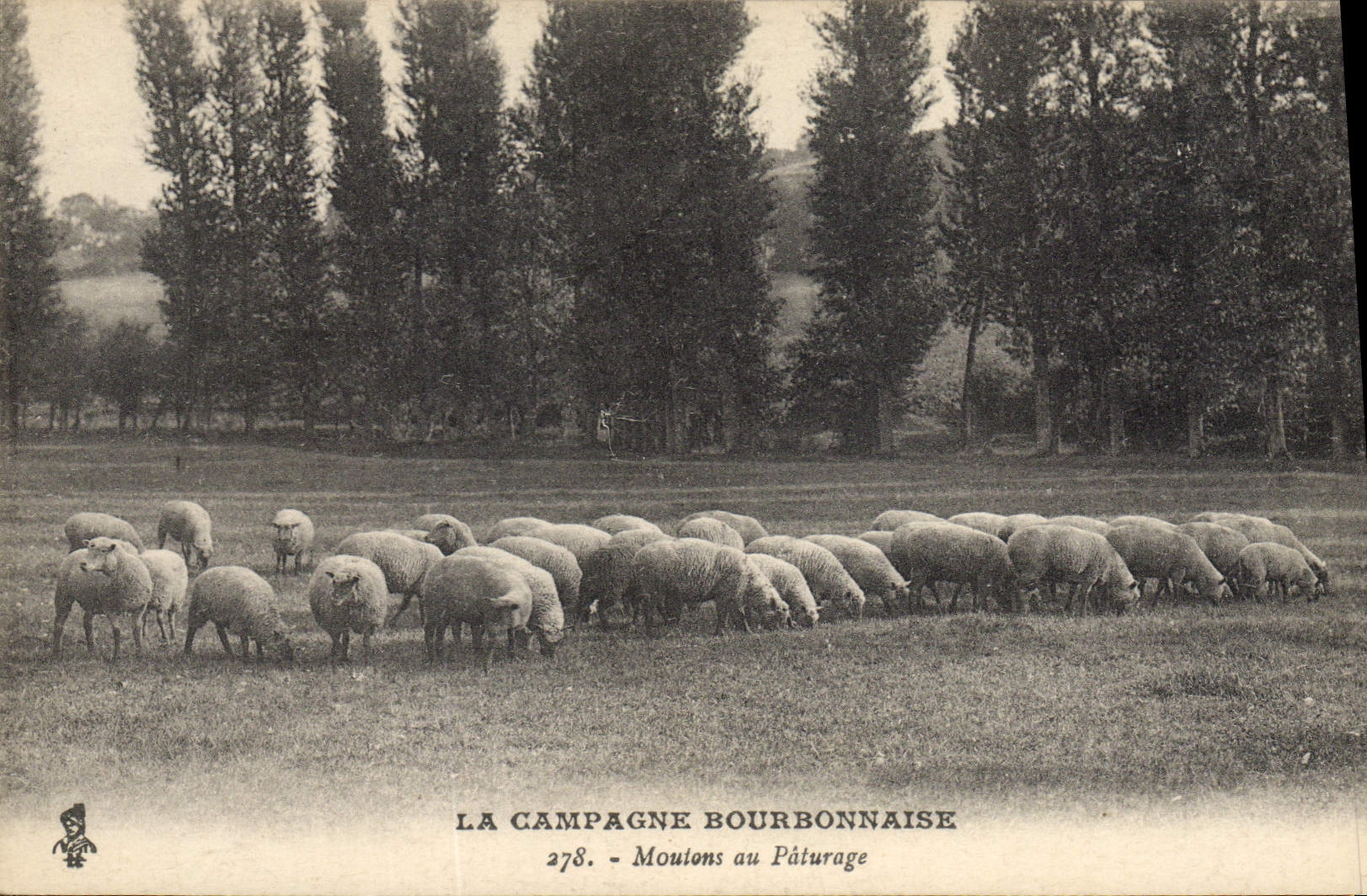 CPA La campagne Bourdonnaise Moutons au paturage 