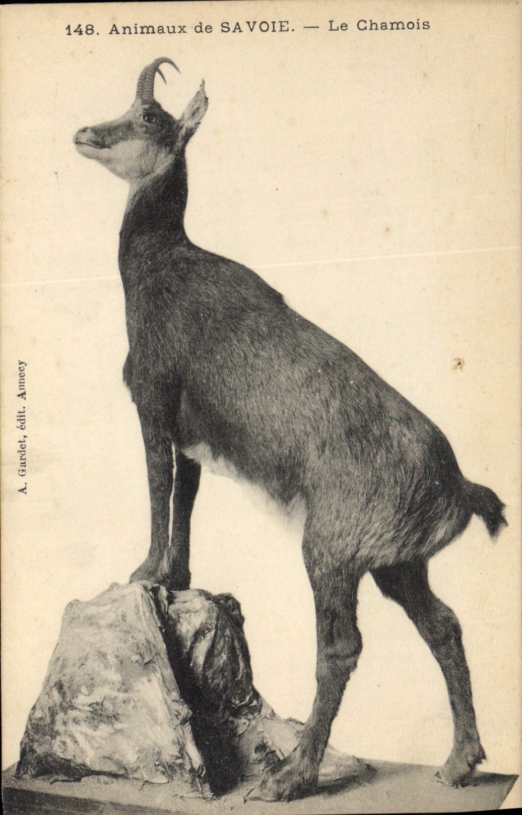 CPA Savoie Le chamois 