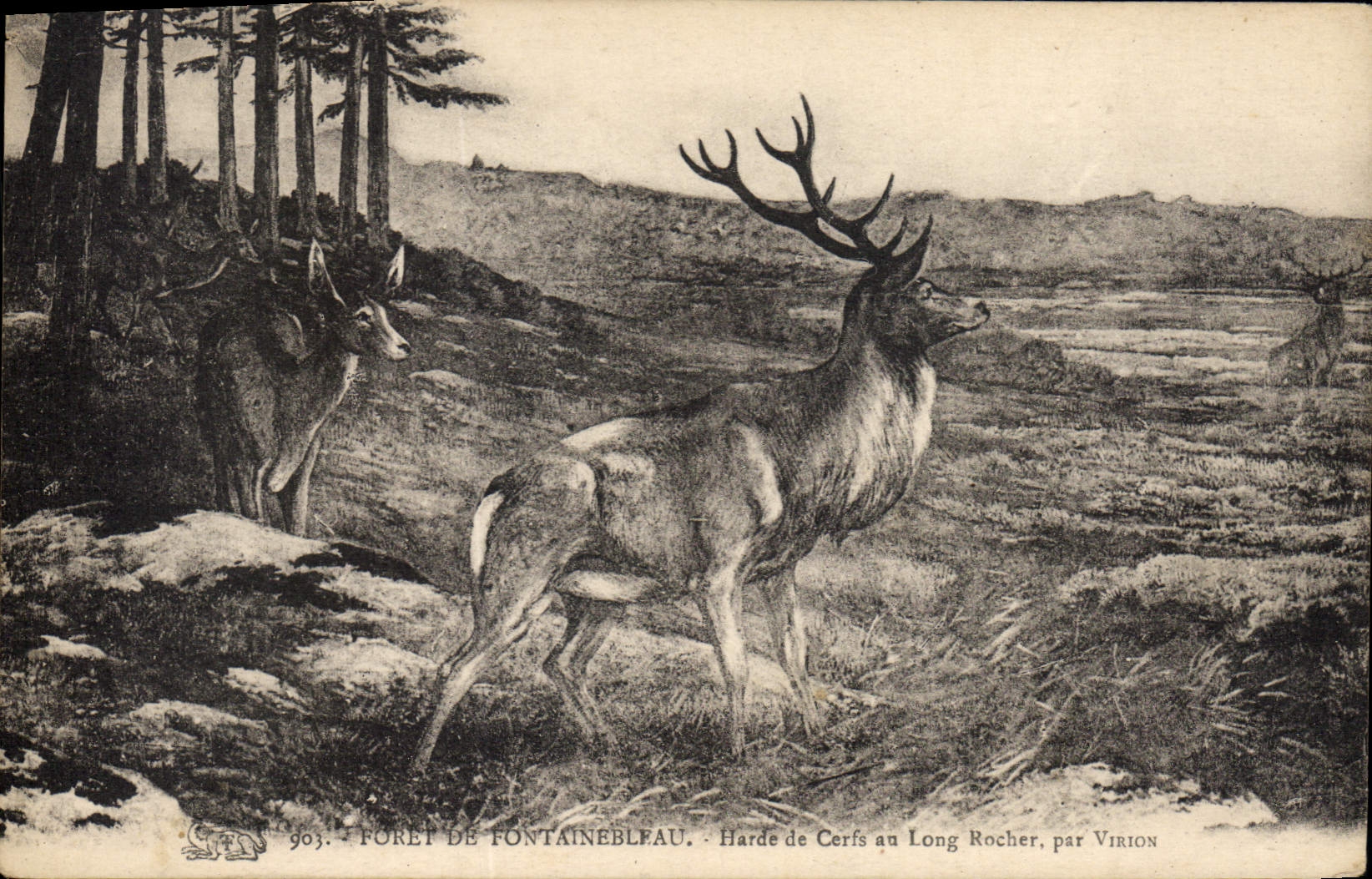 Postal Taladro de Fontainebleau Manada de ciervos a la larga roca por Virión