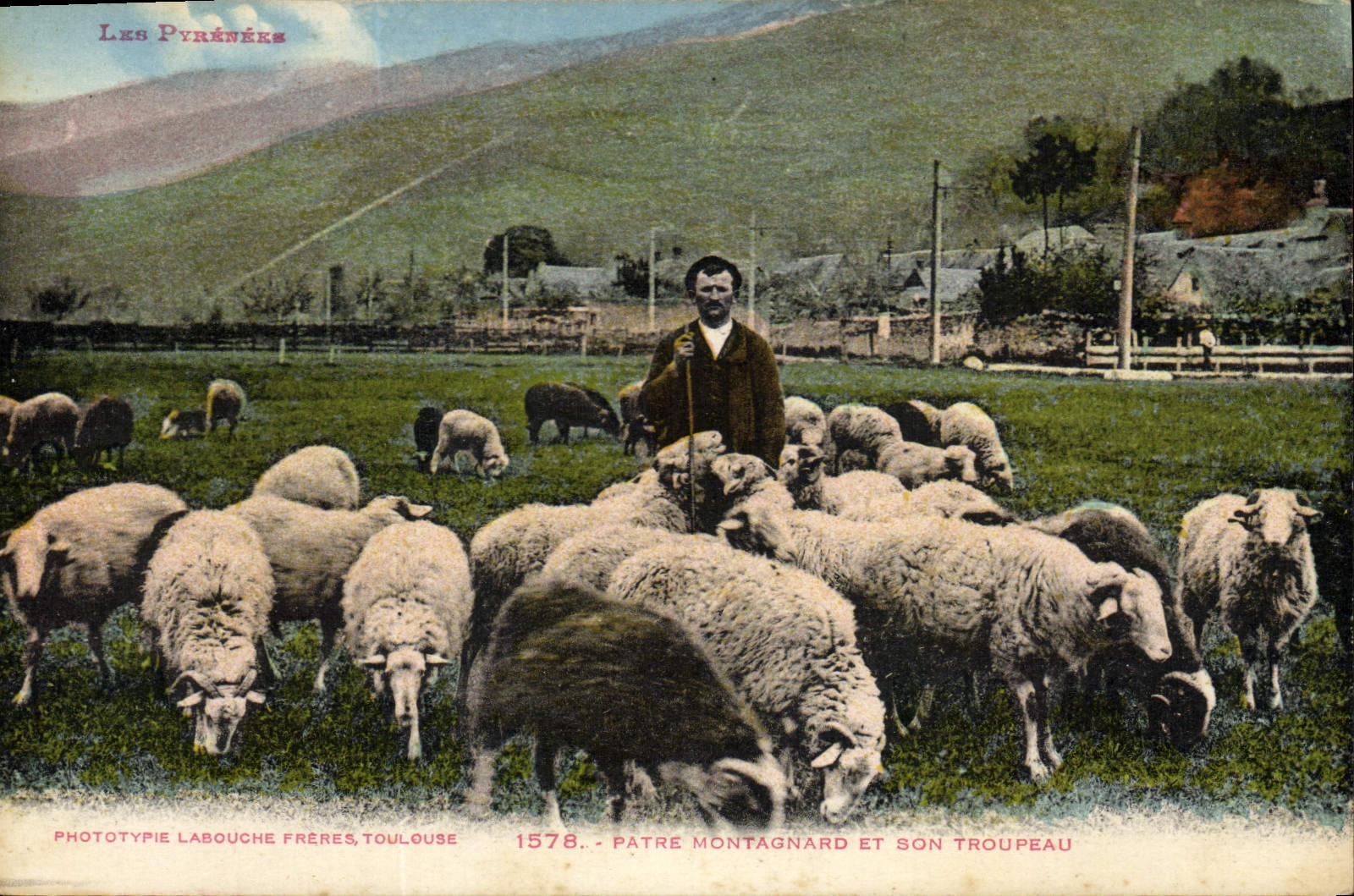 CPA Patre montagnard et son troupeau Moutons