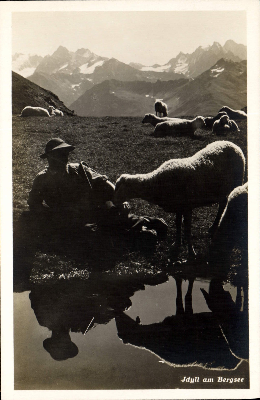 CPA Jdyll am Bergsee Moutons 