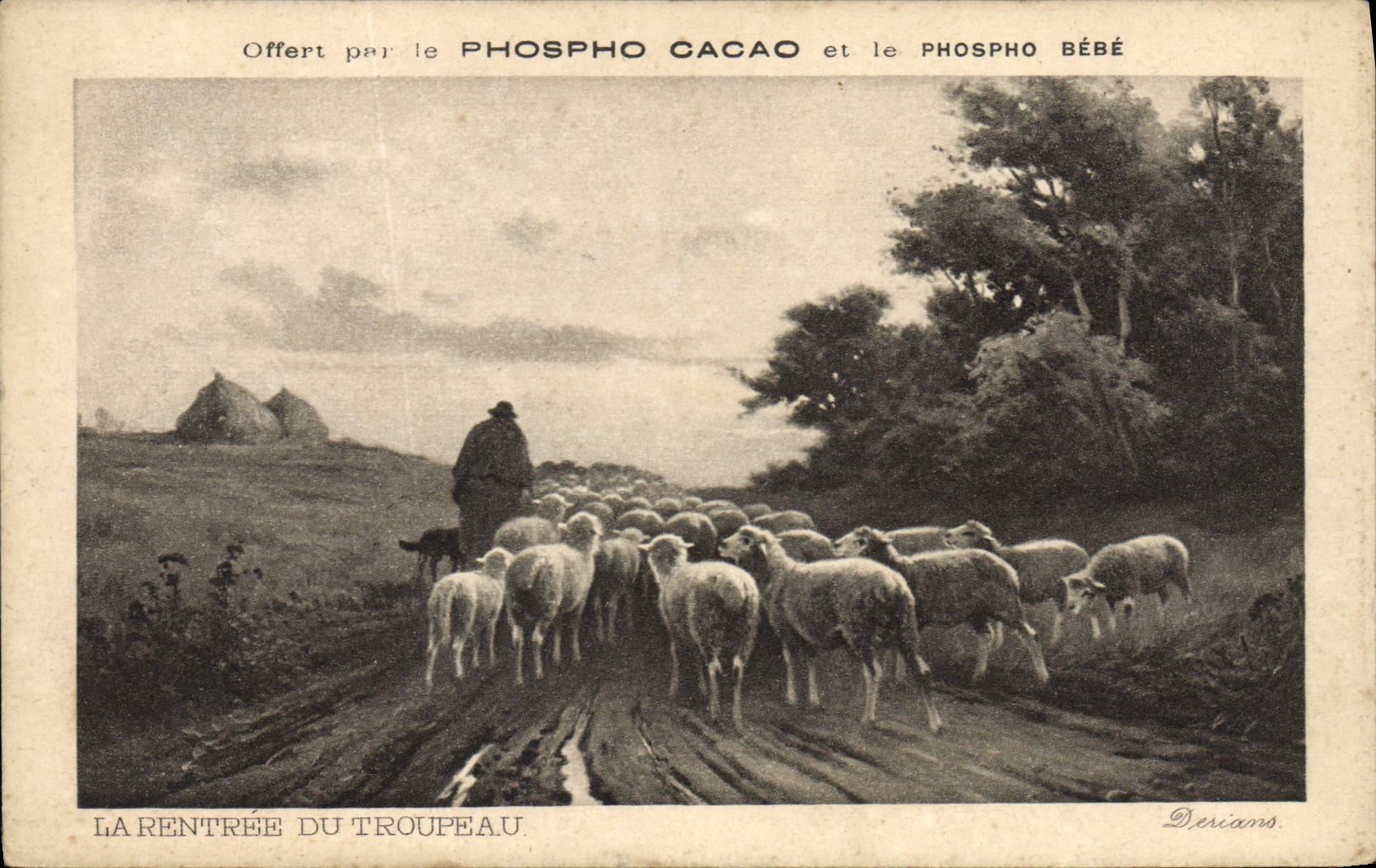 CPA La rentree du troupeau Moutons 