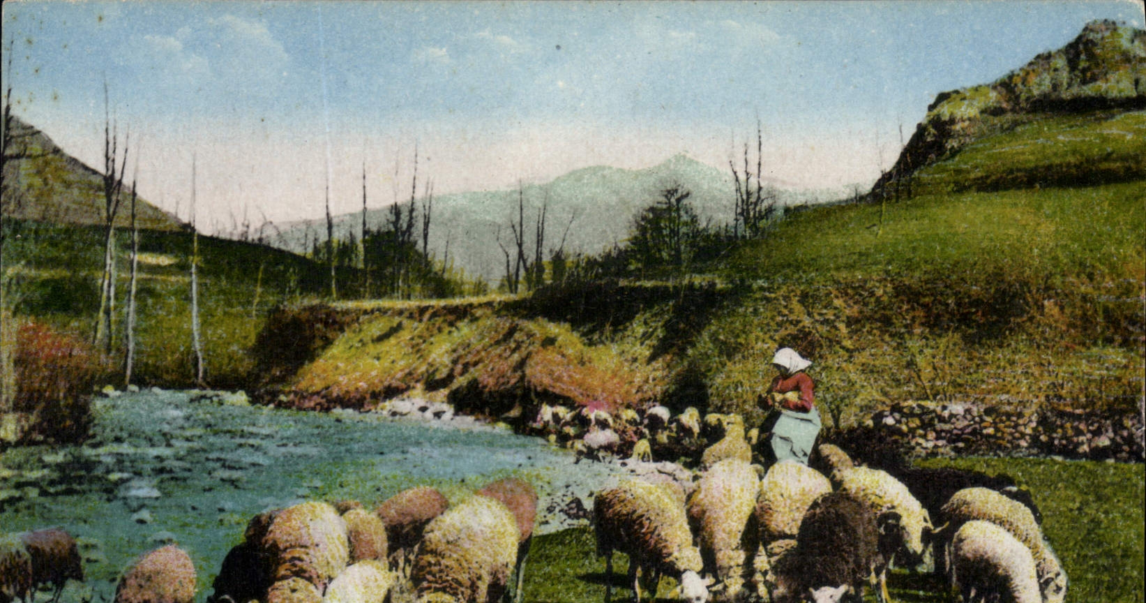 CPA Pyrenees Un troupeau de paturage Moutons