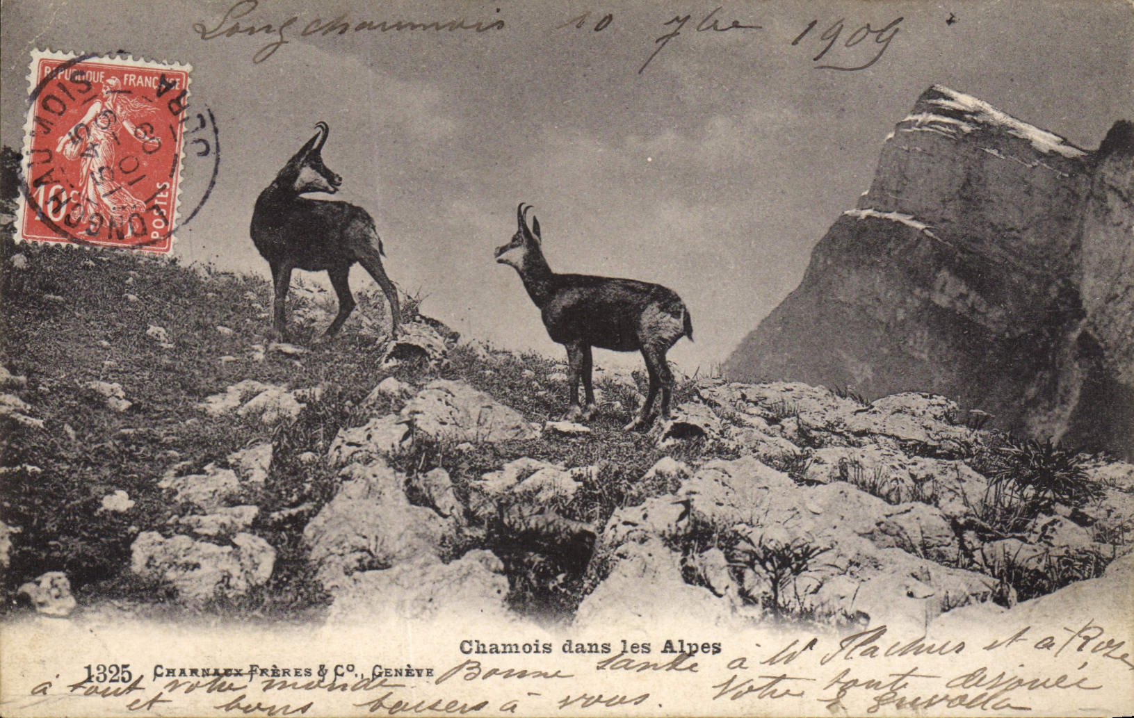 CPA Chamois dans les Alpes