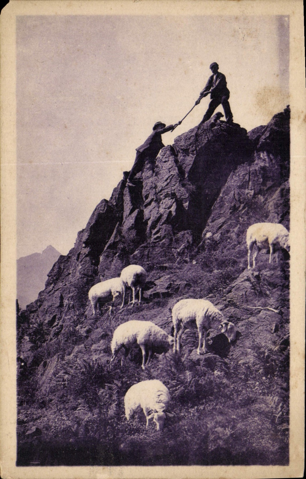 CPA Pyrenees Une escalade en montagne Moutons 