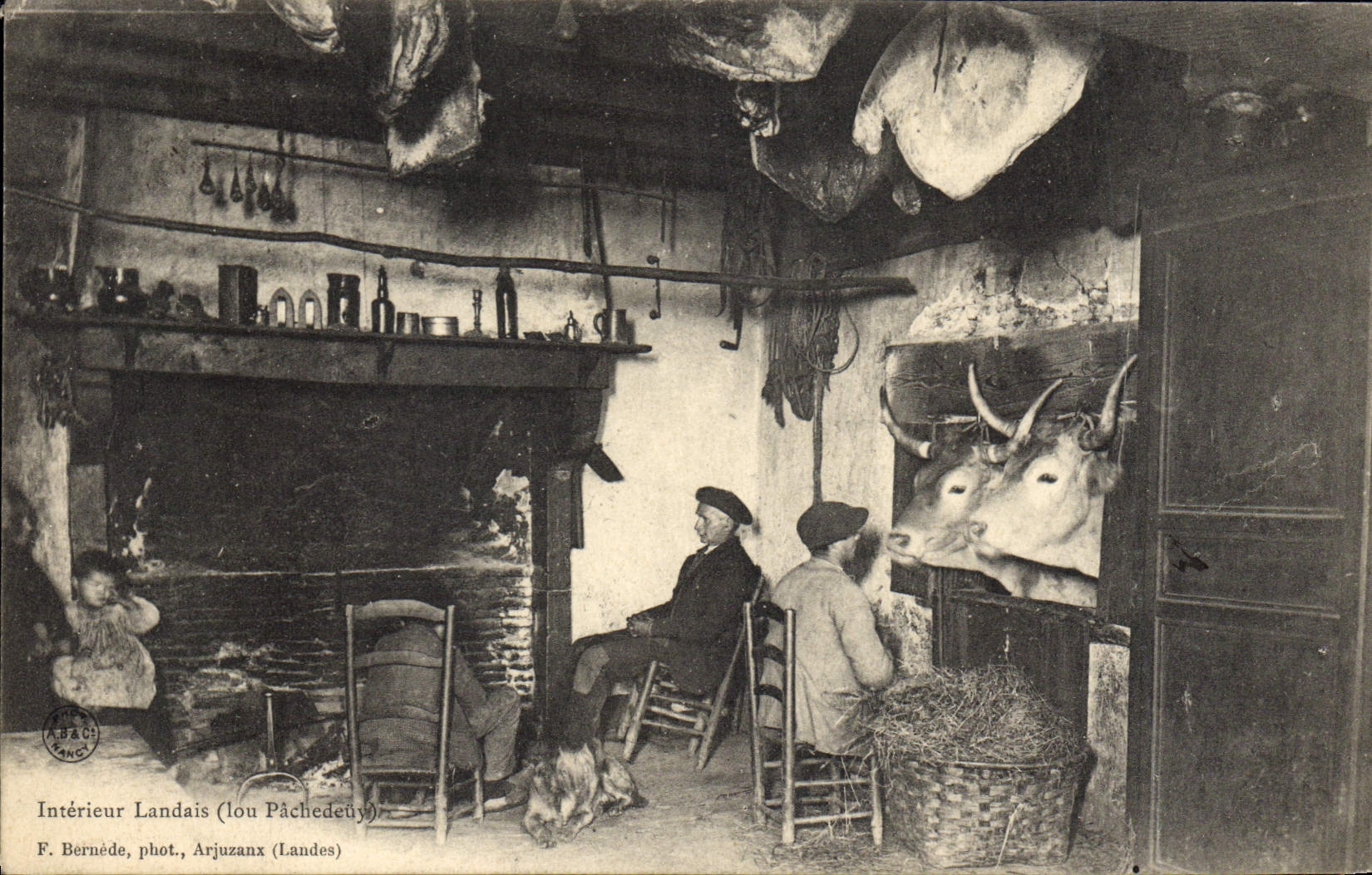 CPA Folklore Interieur landais Boeufs