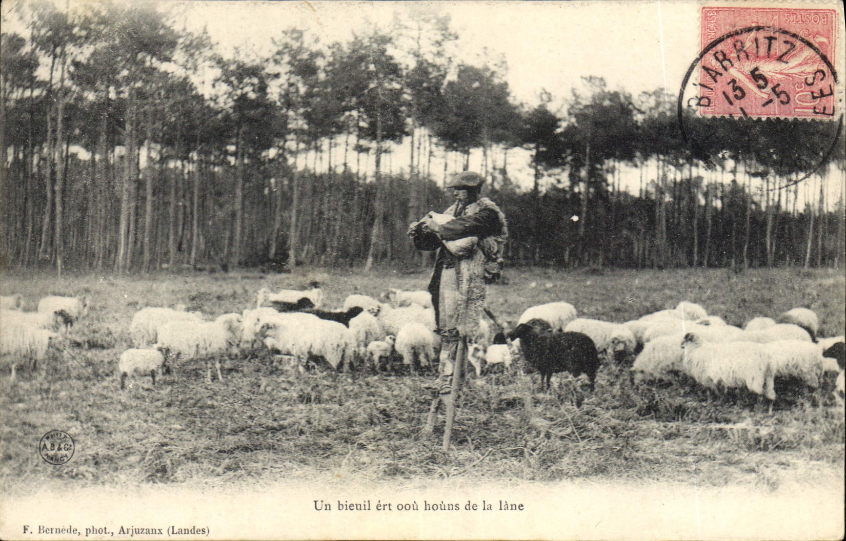 CPA Folklore Berger dans les Landes Moutons