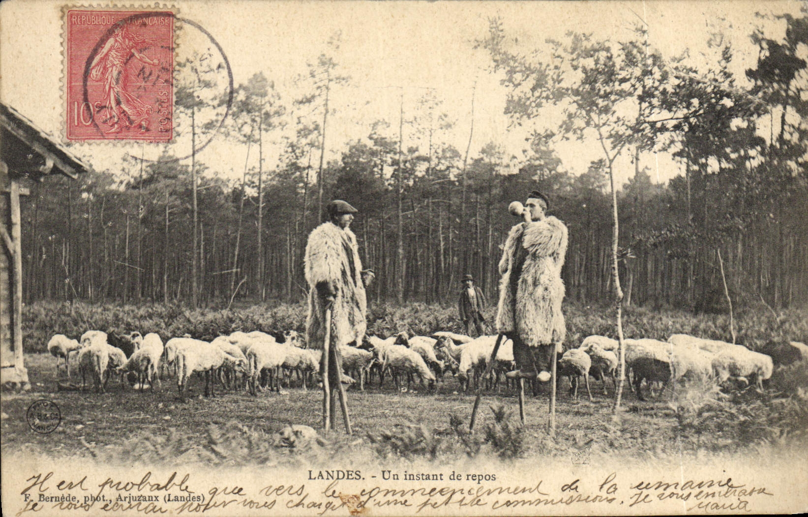 CPA Folklore Landes Un instant de repos Moutons