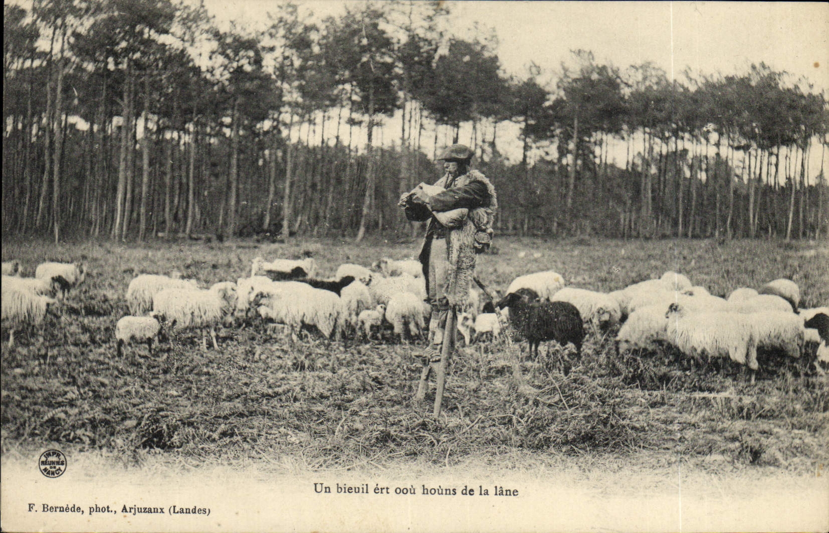 CPA Folklore Berger Landais moutons