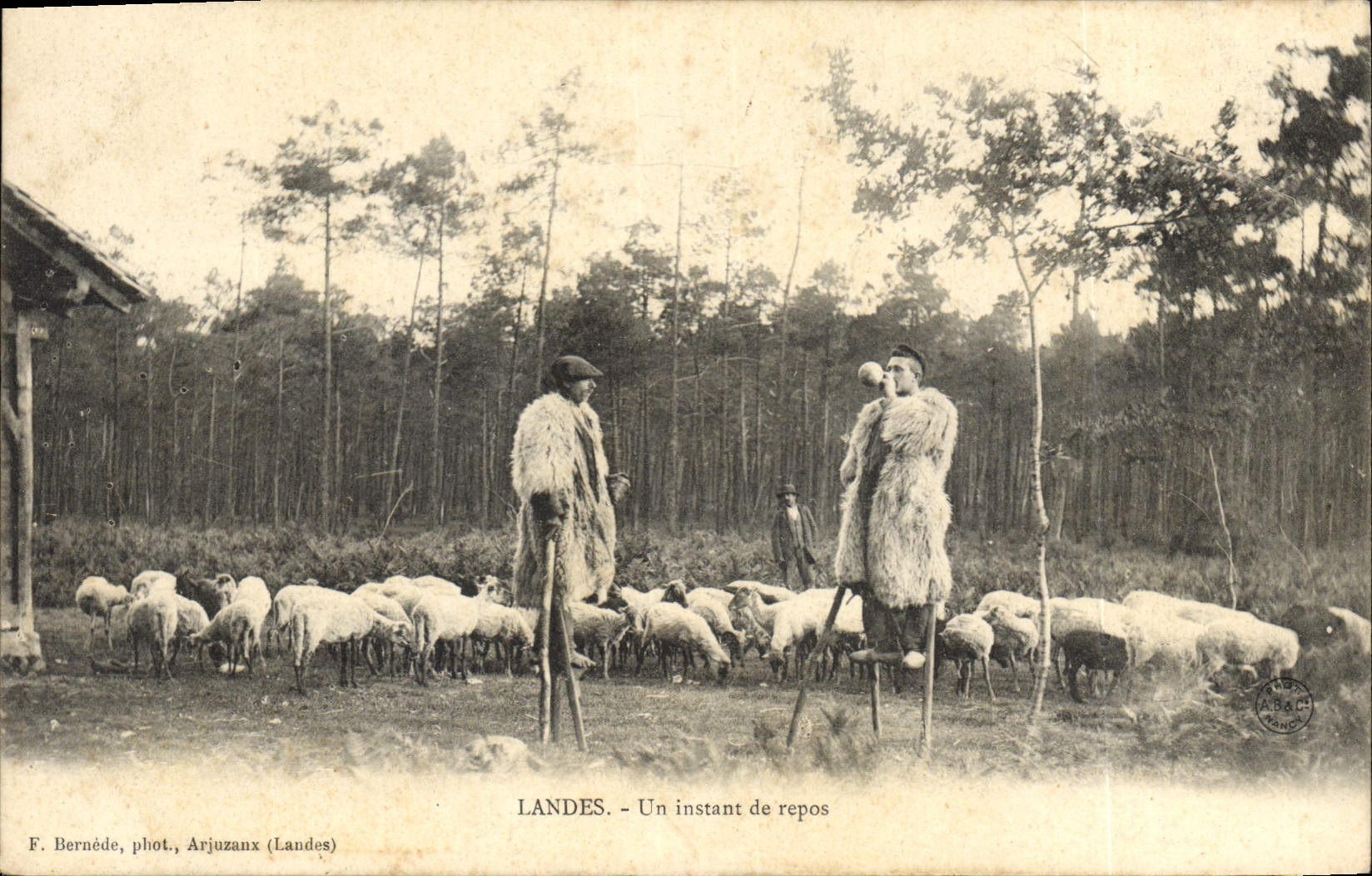 CPA Folklore Landes Un instant de repos Moutons 