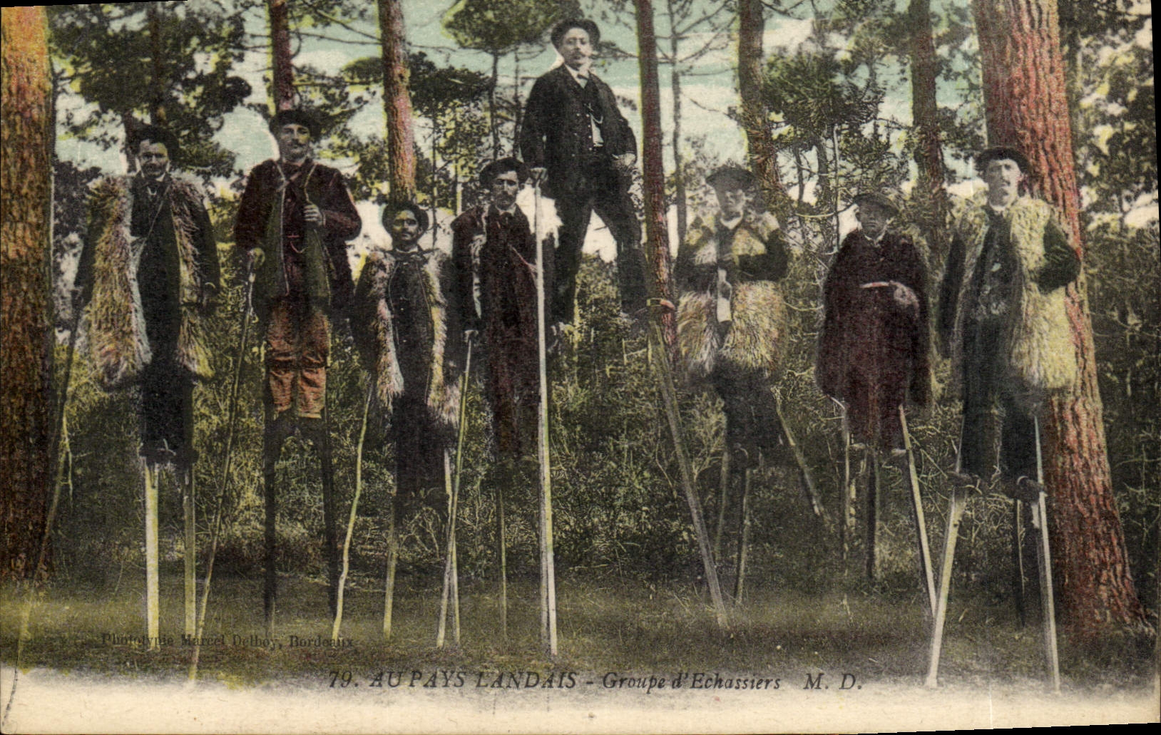 CPA Folklore Au Pays Landais Groupe d'echassiers Moutons