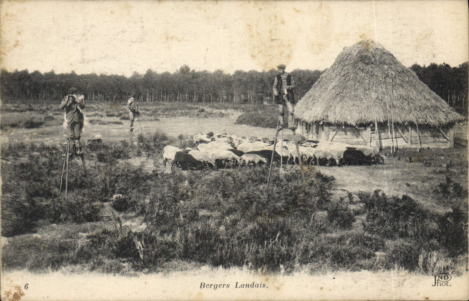 CPA Folklore Berger landais Moutons